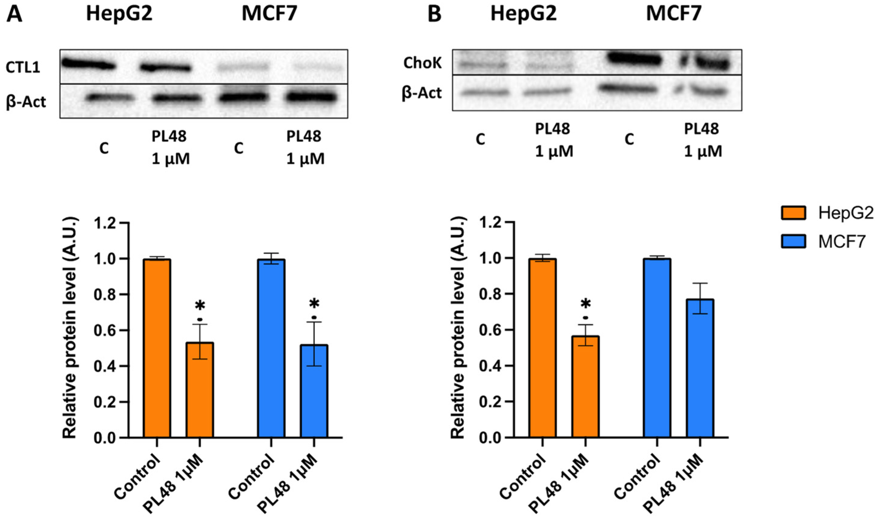 Pharmaceutics 14 00426 g008