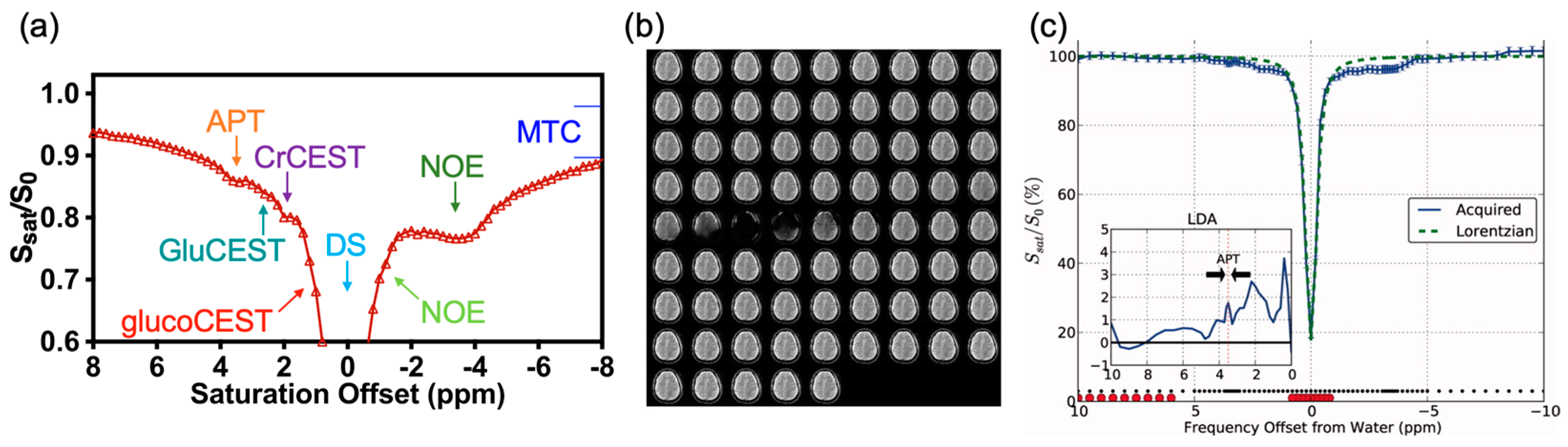 Pharmaceutics Free Full Text Molecular Imaging of Brain Tumors