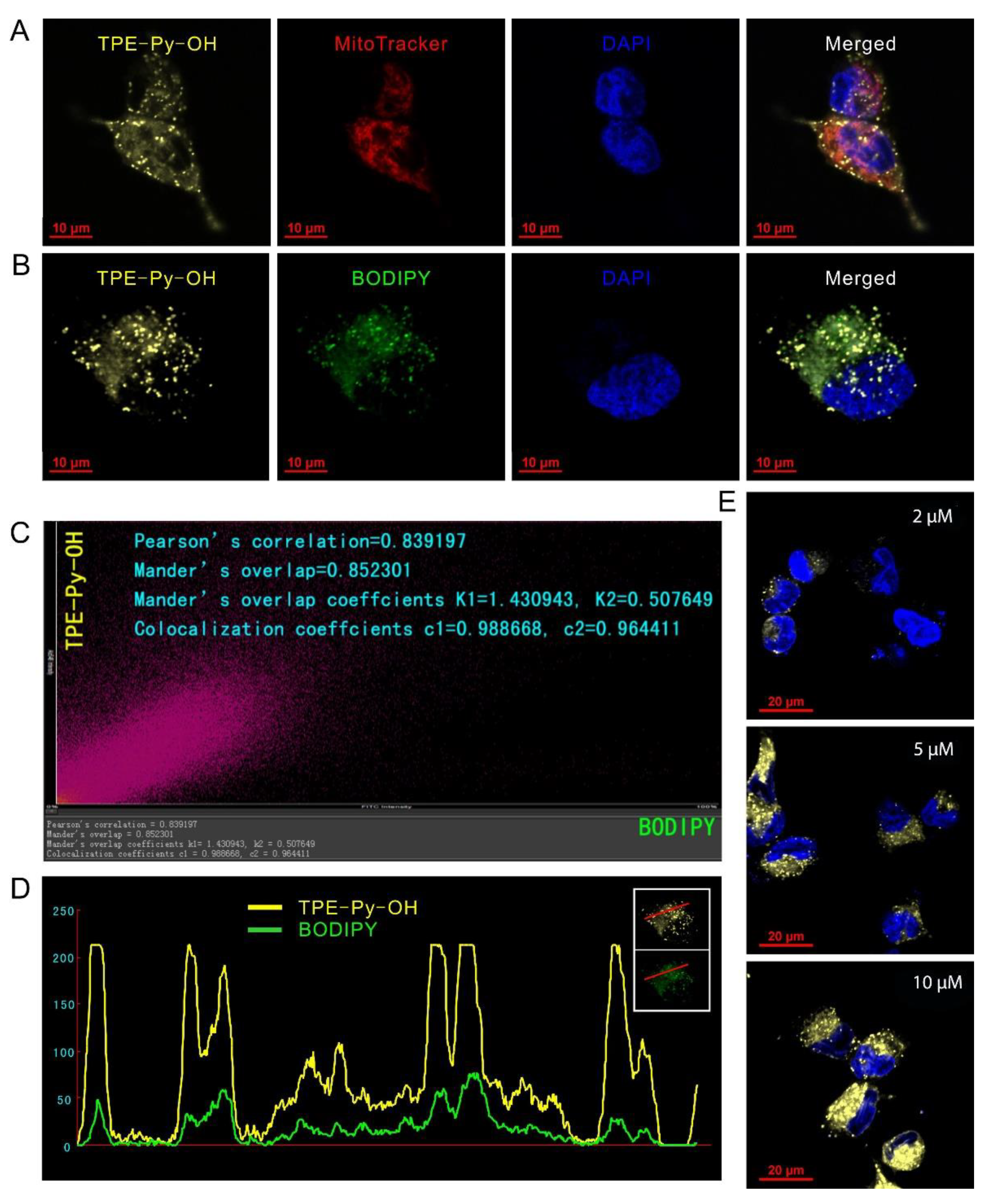 Pharmaceutics 14 00459 g002