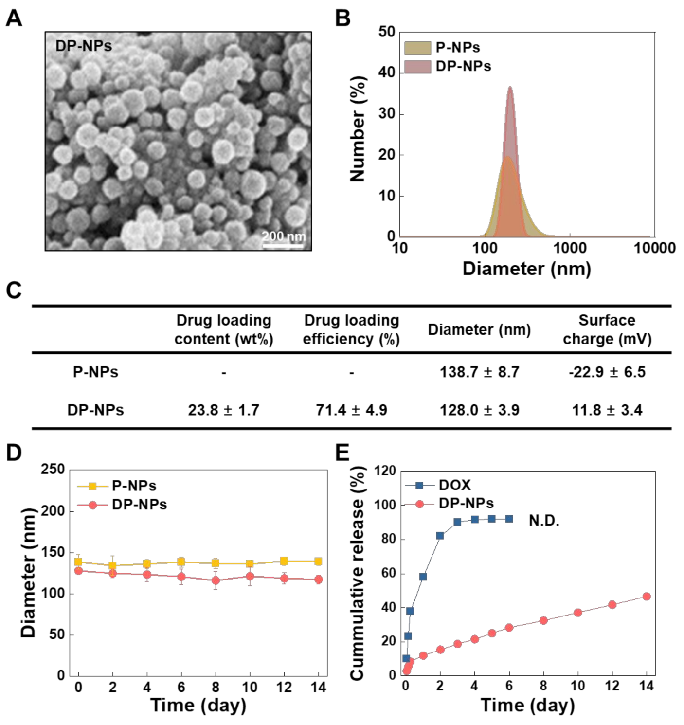 Pharmaceutics | Free Full-Text | Sustained and Long-Term Release of  Doxorubicin from PLGA Nanoparticles for Eliciting Anti-Tumor Immune  Responses