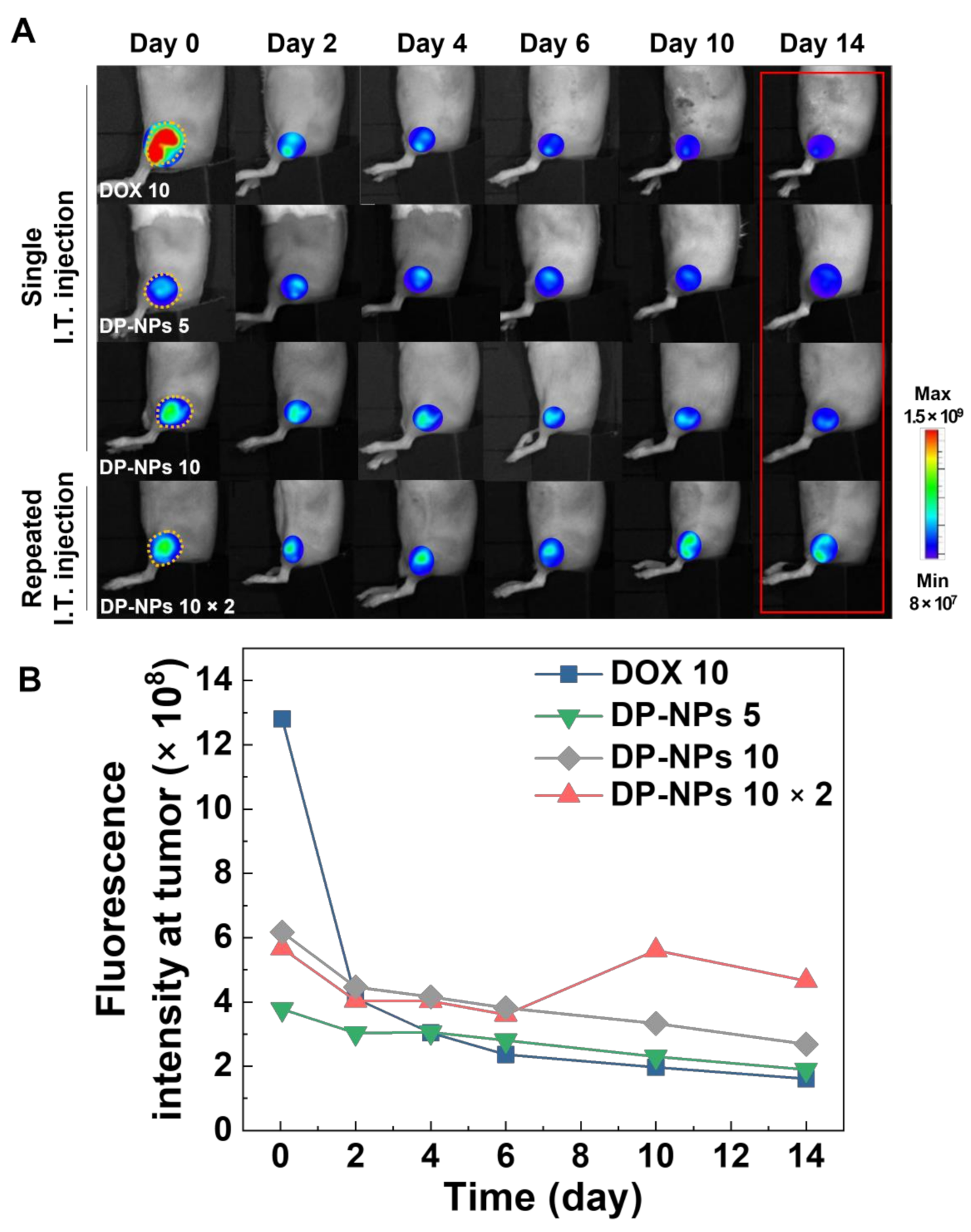 Pharmaceutics 14 00474 g003