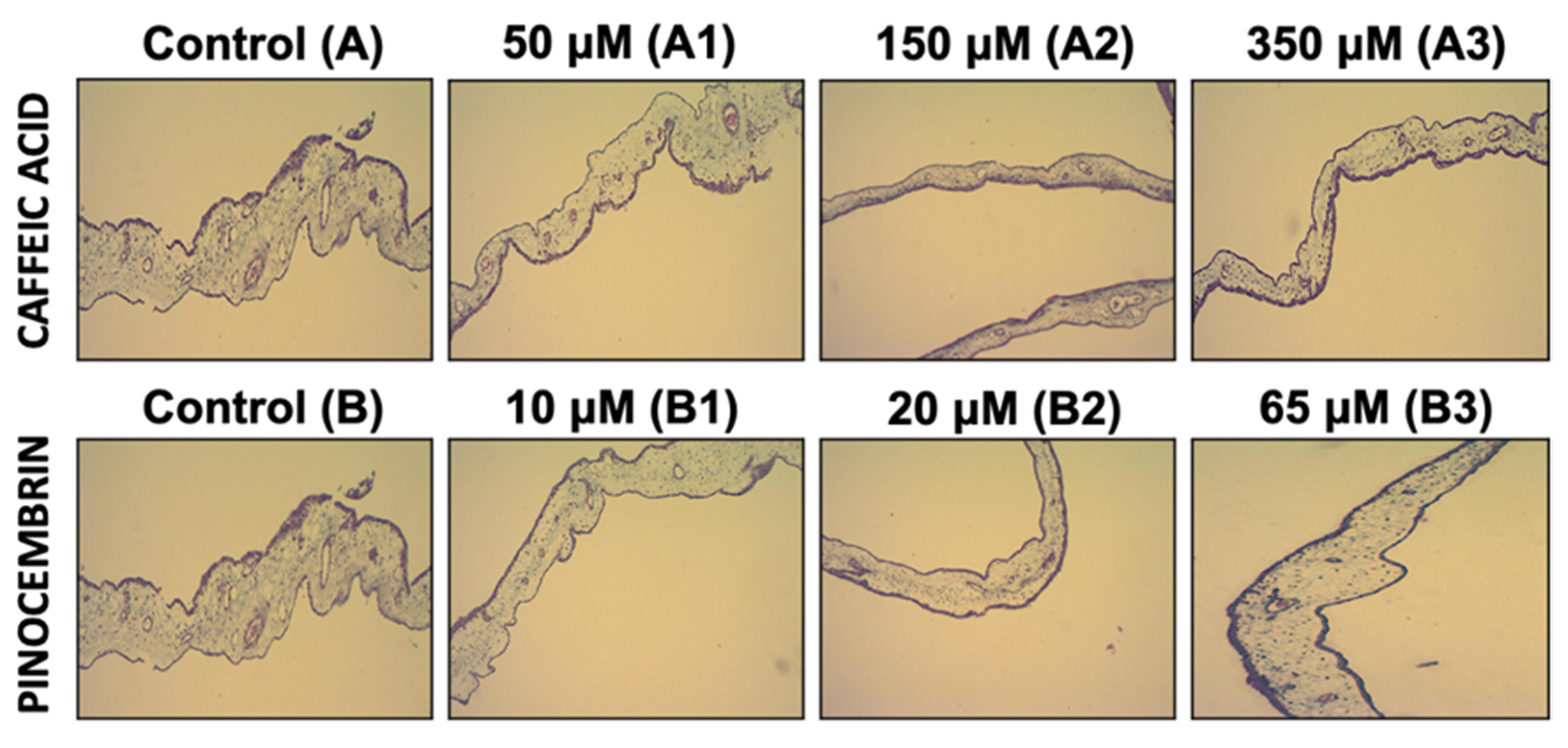 Pharmaceutics 14 00484 g003