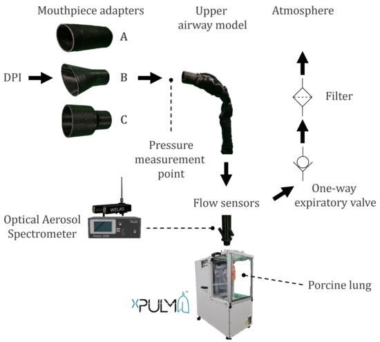 The subject exhales via a mouthpiece and a directional valve into a