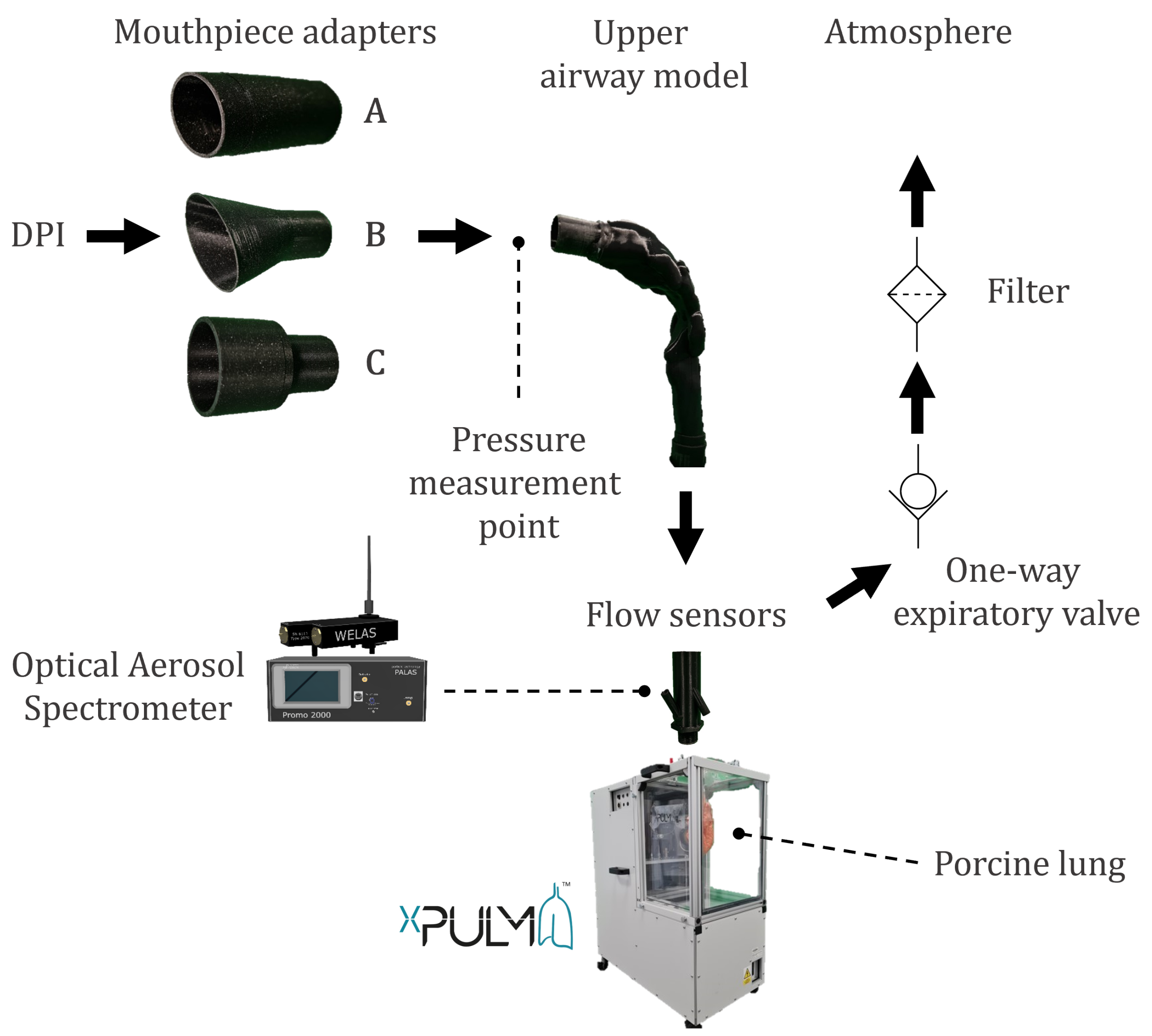 Pharmaceutics 14 00500 g001