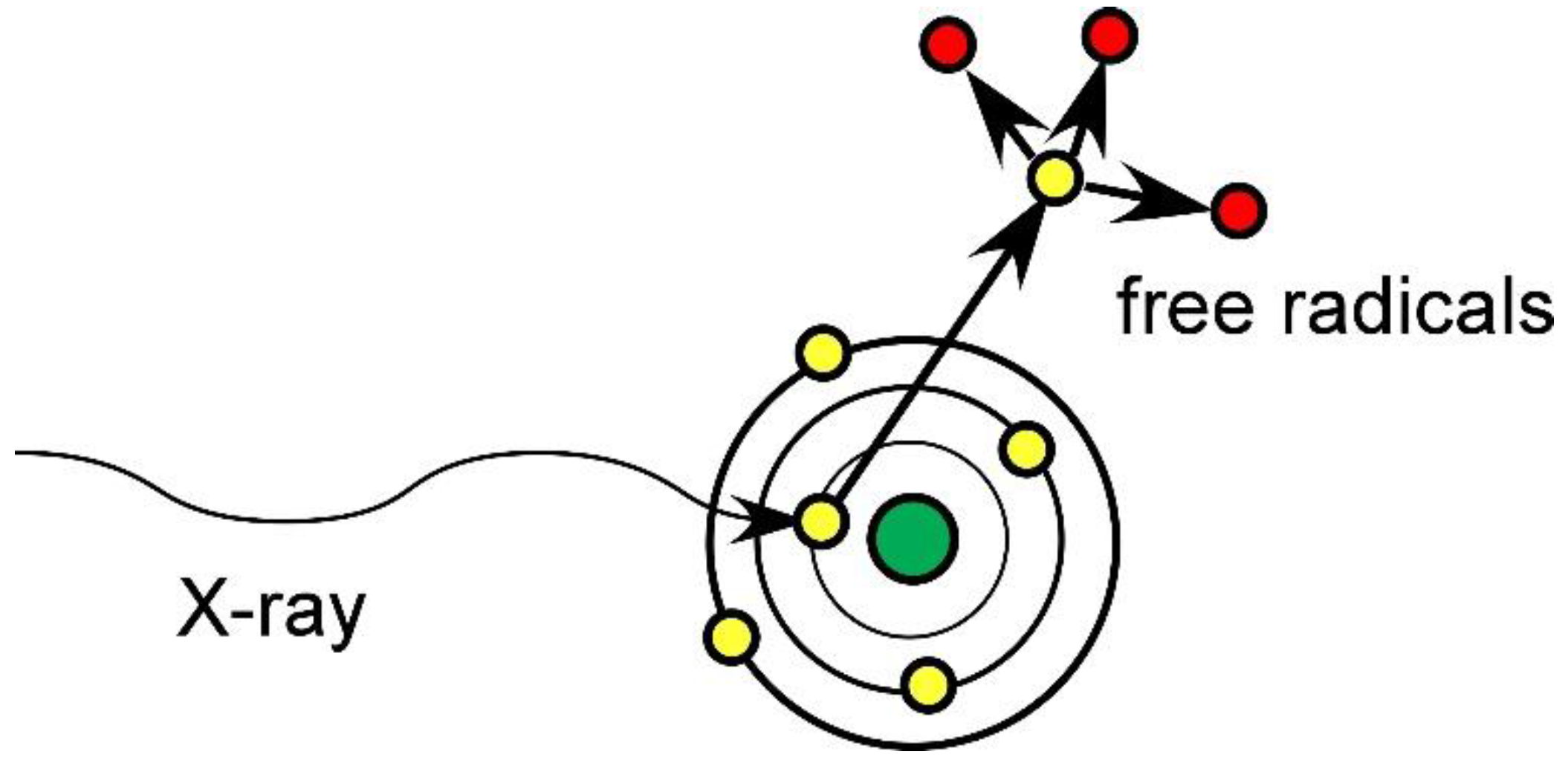 Pharmaceutics 14 00508 g001