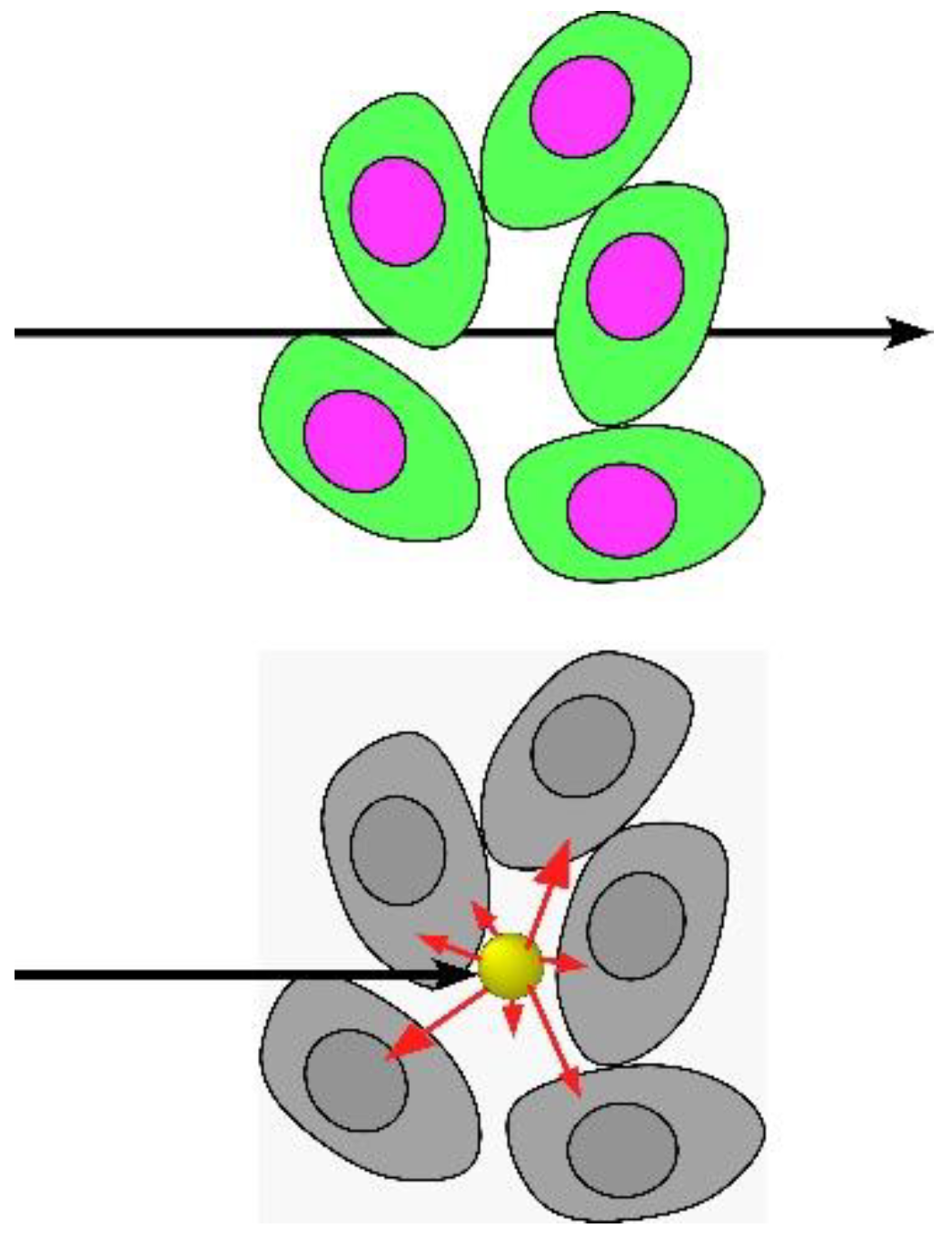 Pharmaceutics 14 00508 g002