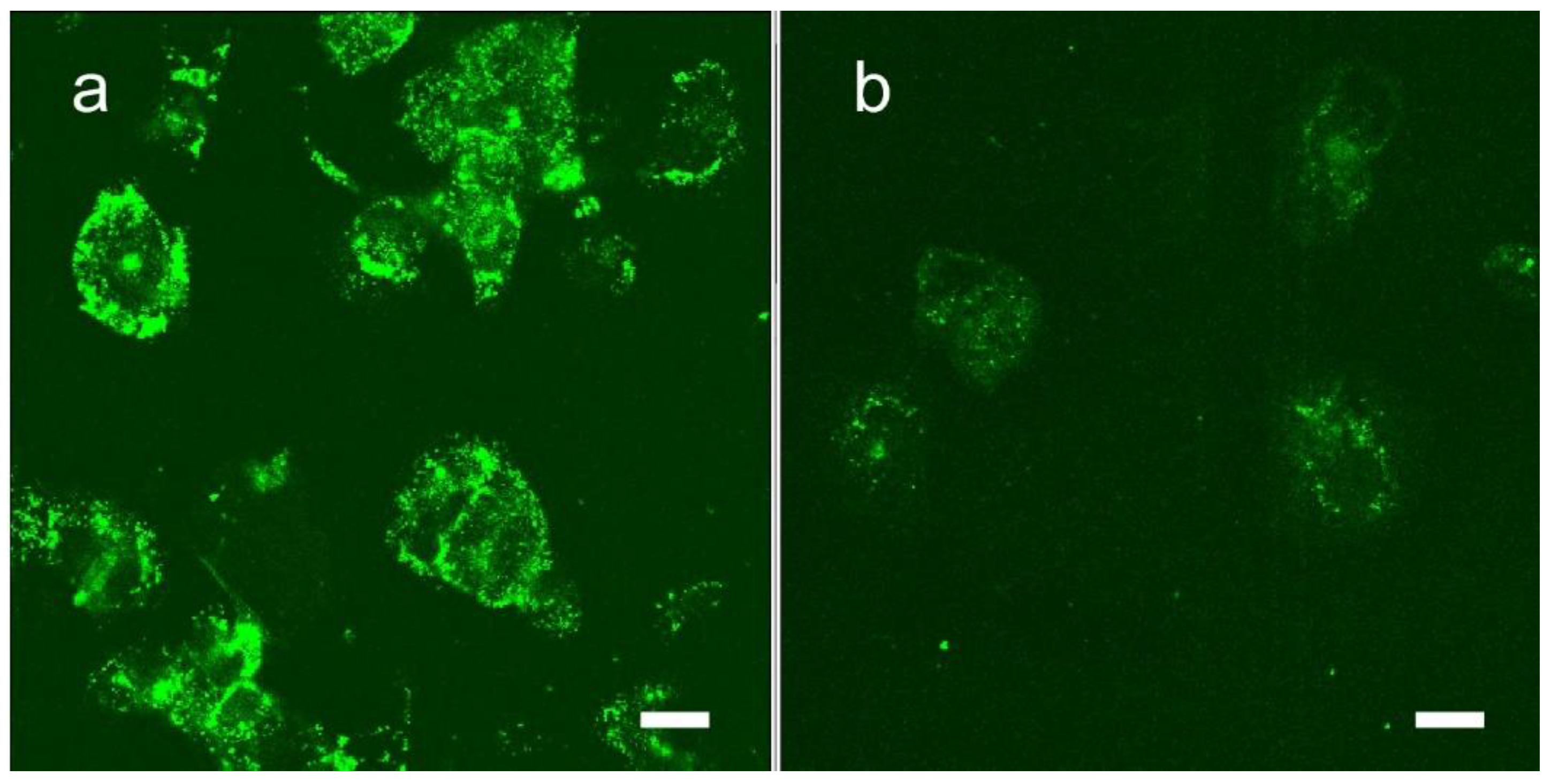 Pharmaceutics 14 00508 g014