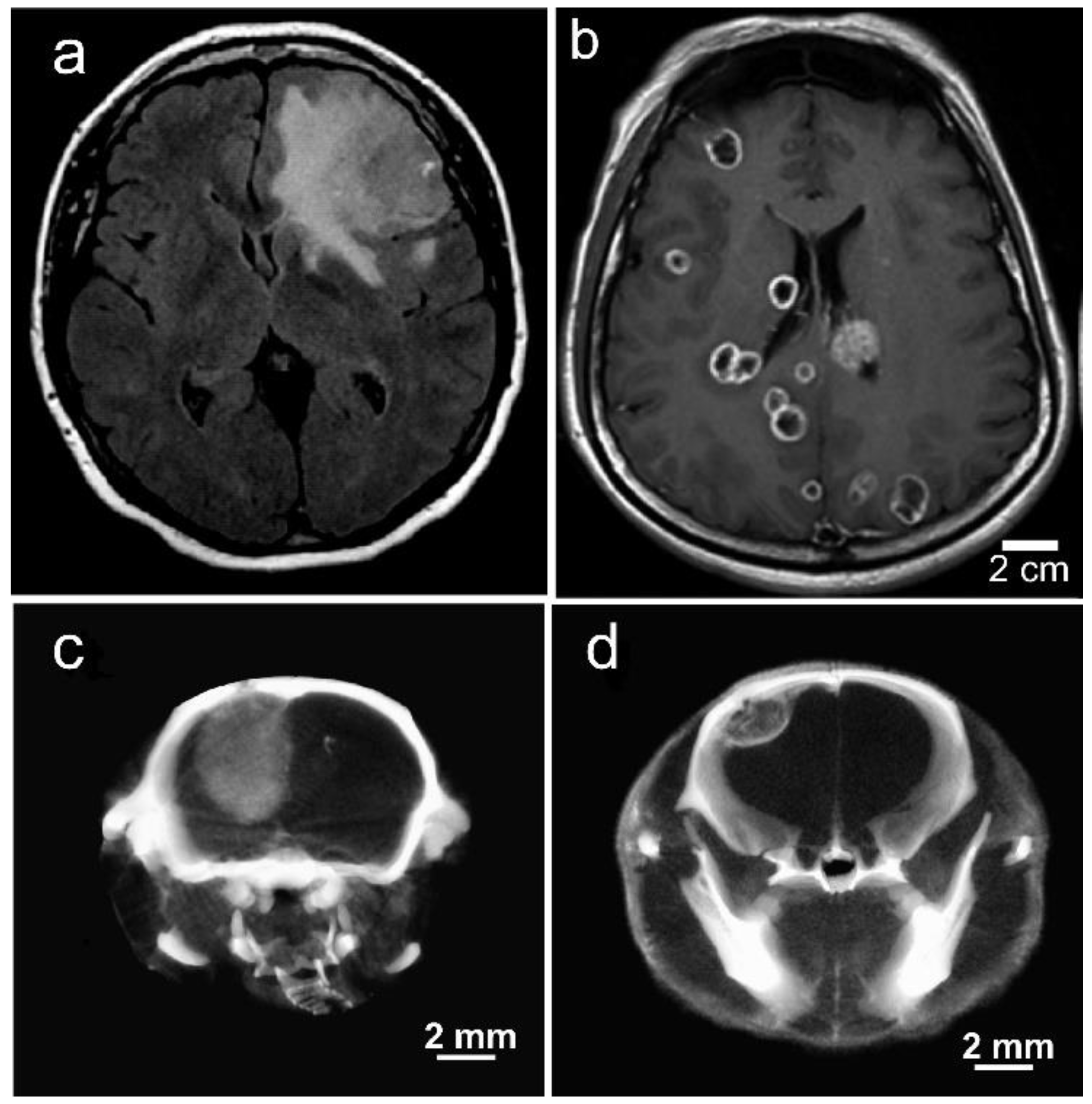 Pharmaceutics 14 00508 g015