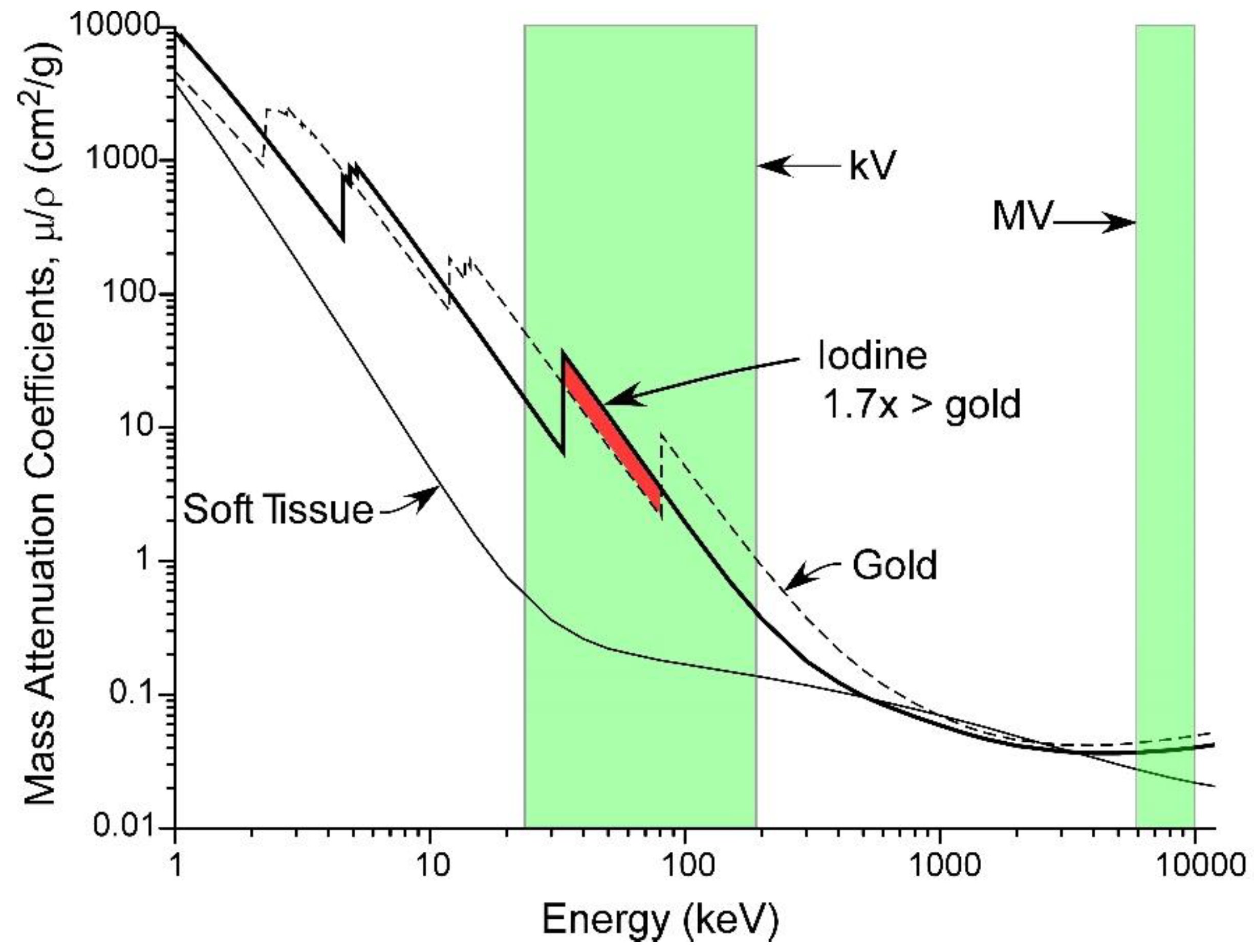 Pharmaceutics 14 00508 g018