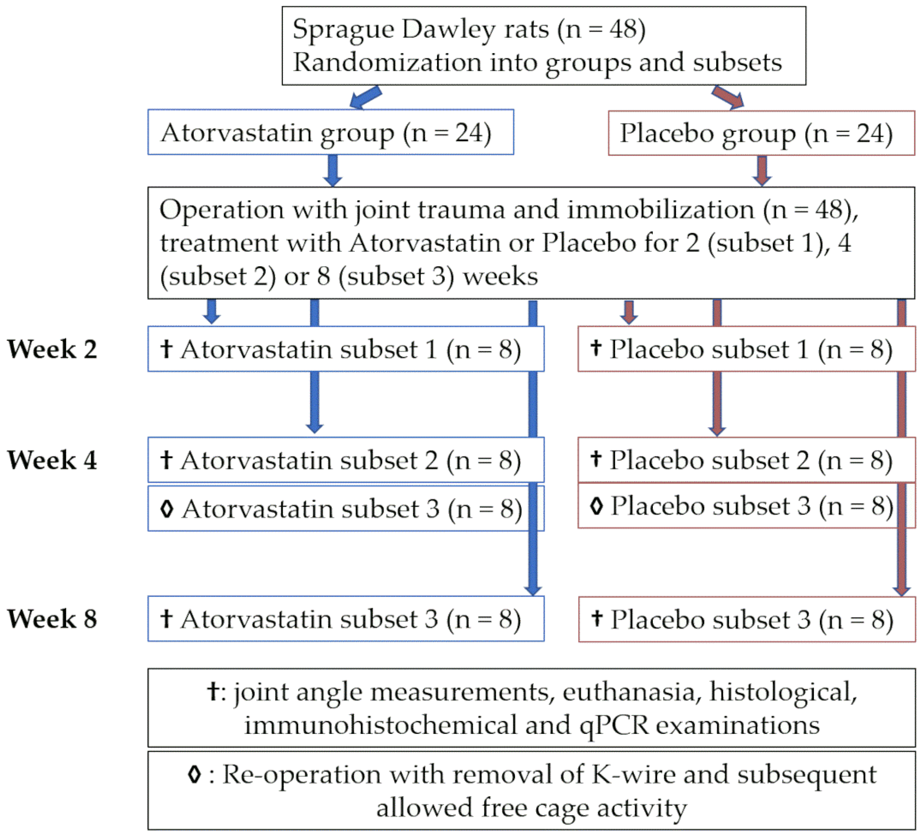 Pharmaceutics 14 00523 g001 Pharmaceutics 14 00523 g001