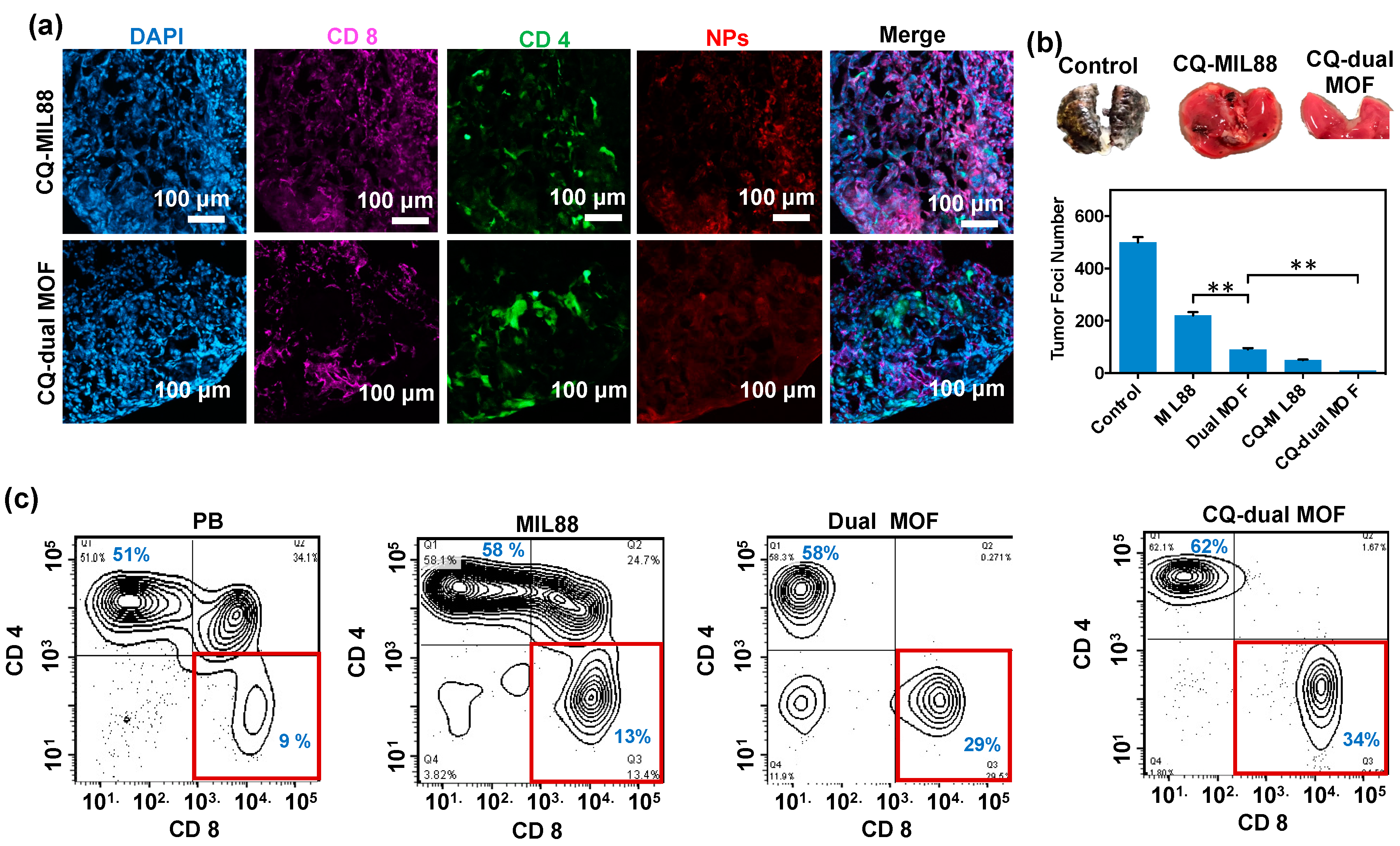Pharmaceutics 14 00527 g007