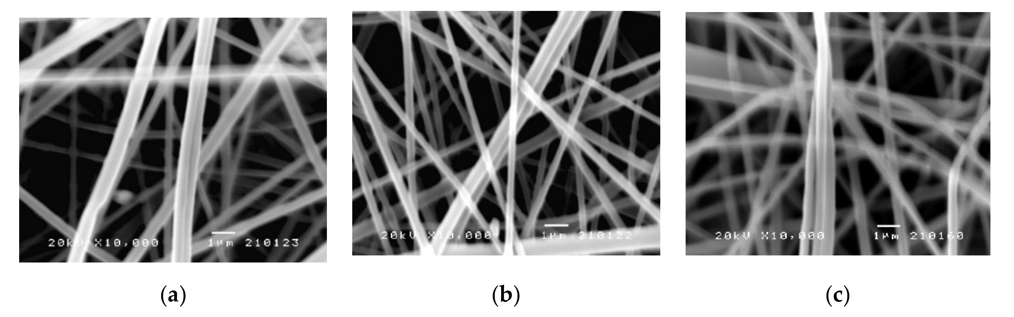 Pharmaceutics 14 00528 g003