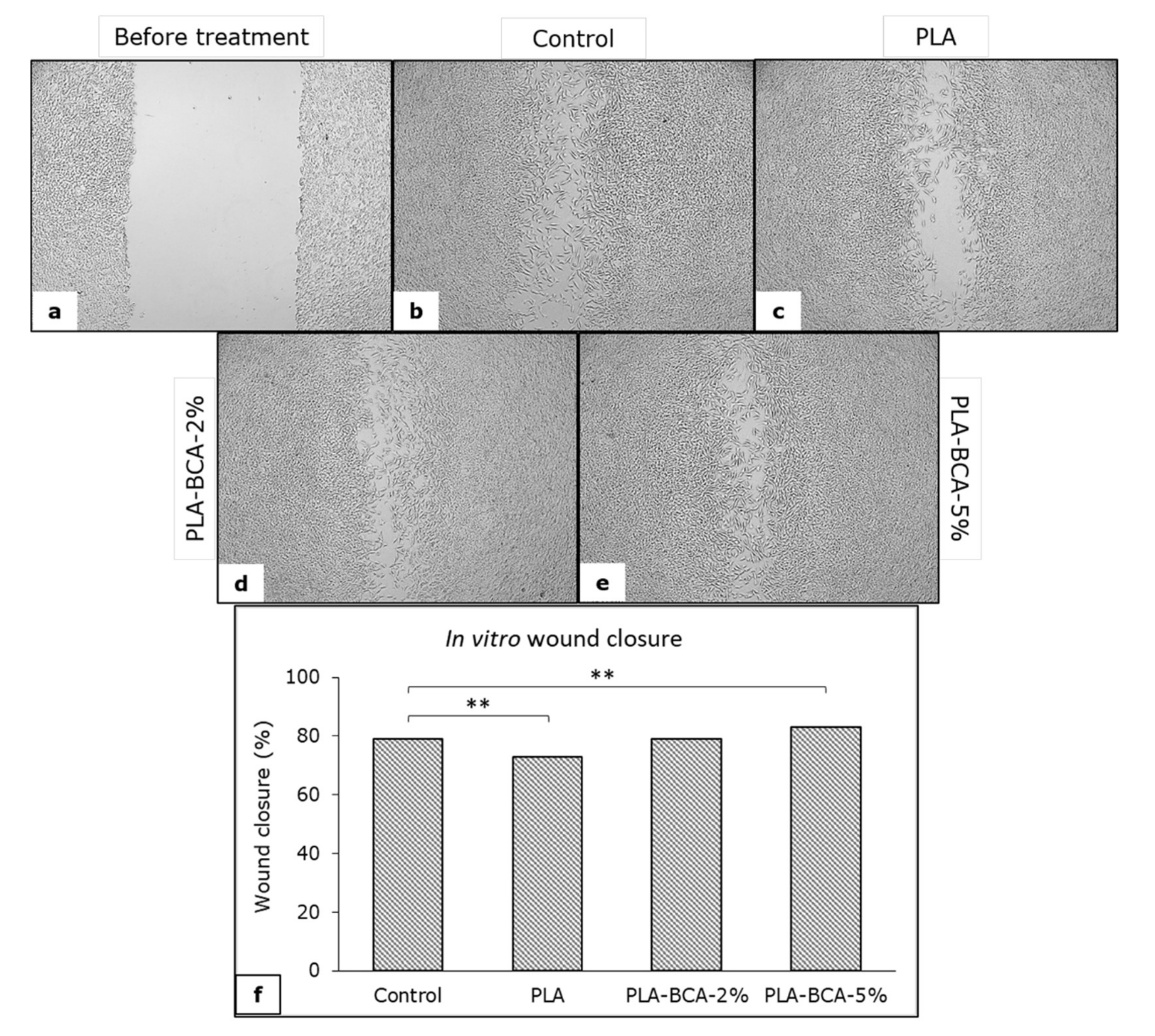 Pharmaceutics 14 00528 g009