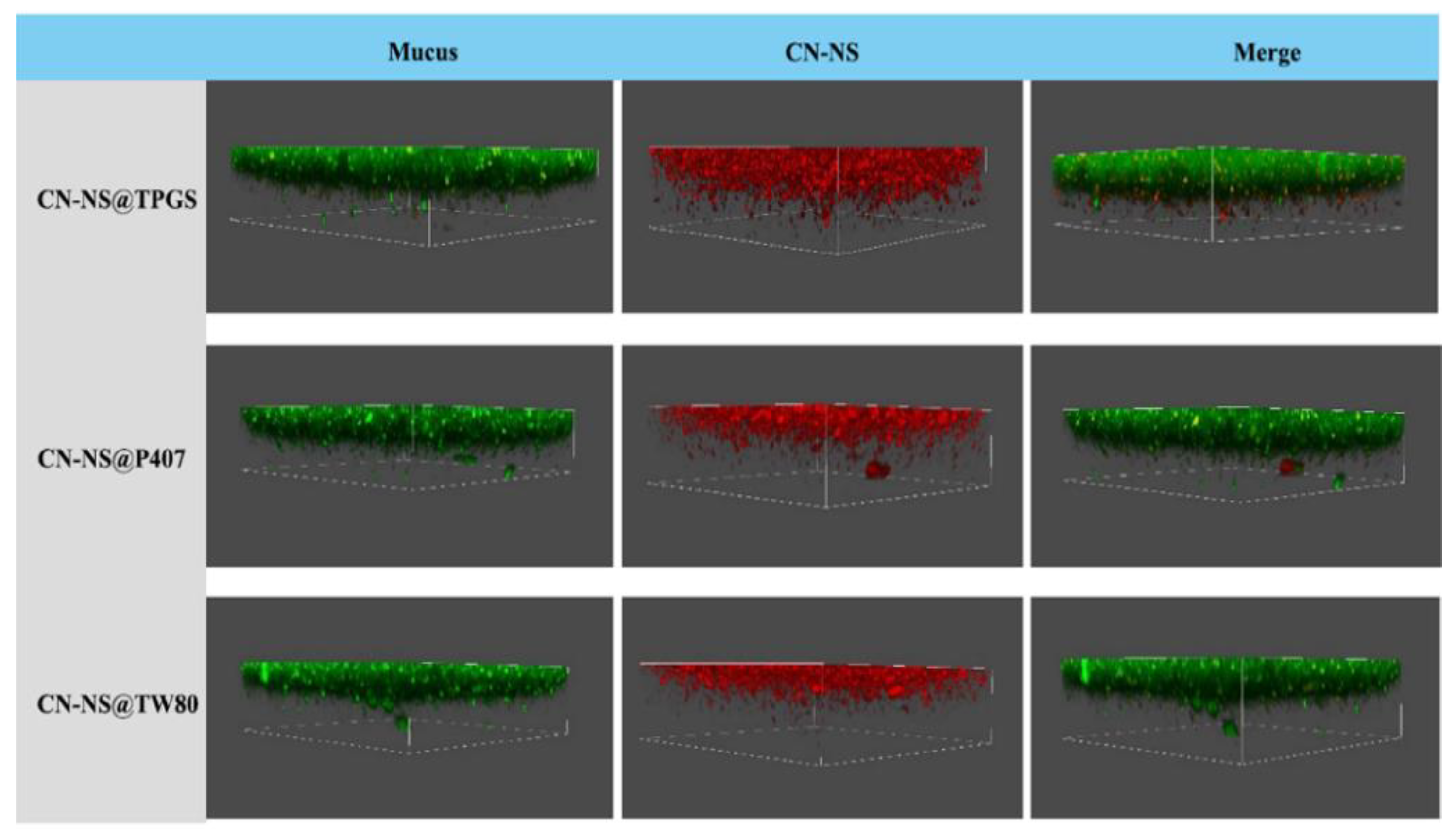 Pharmaceutics 14 00538 g005