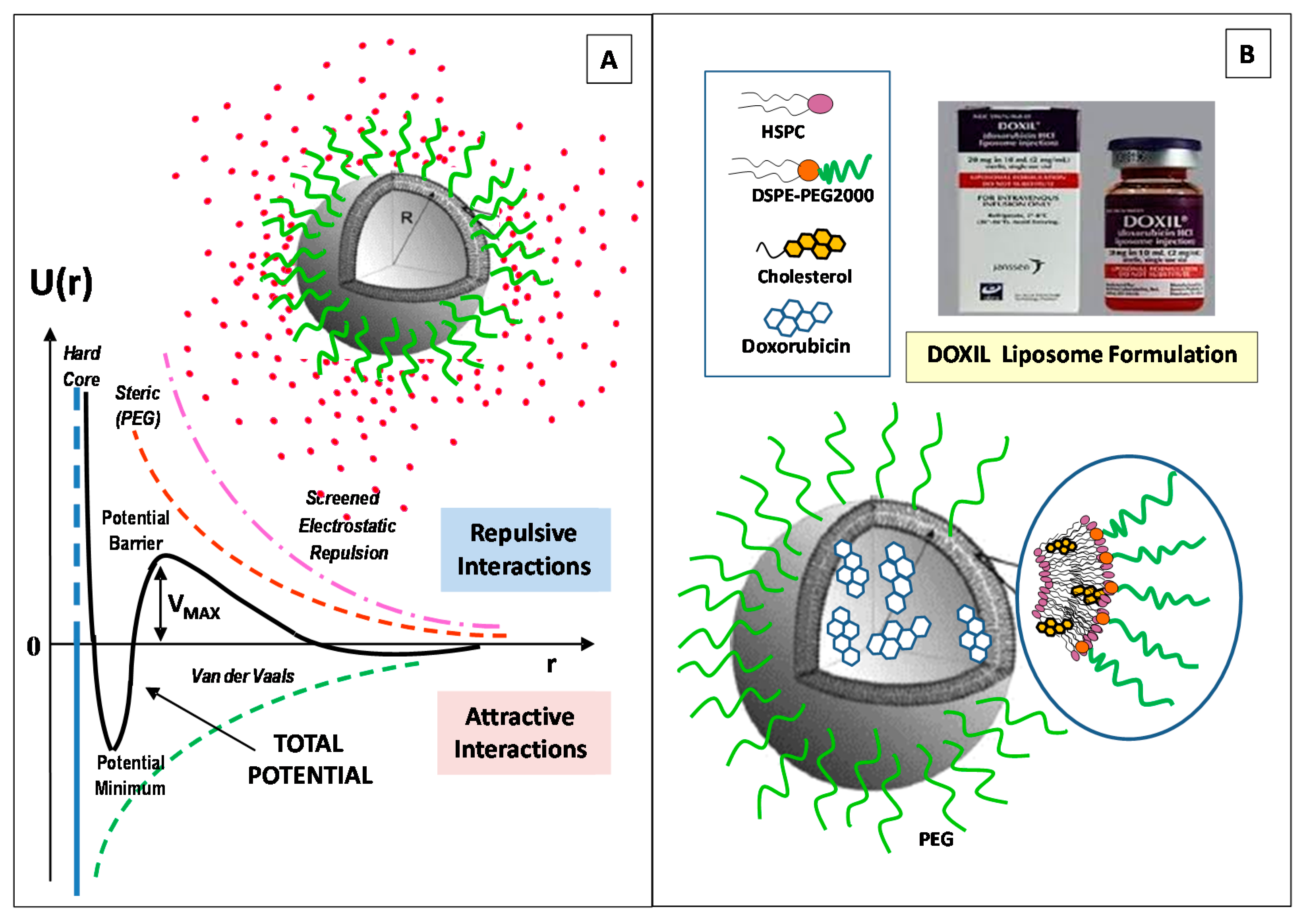 Pharmaceutics 14 00543 g002