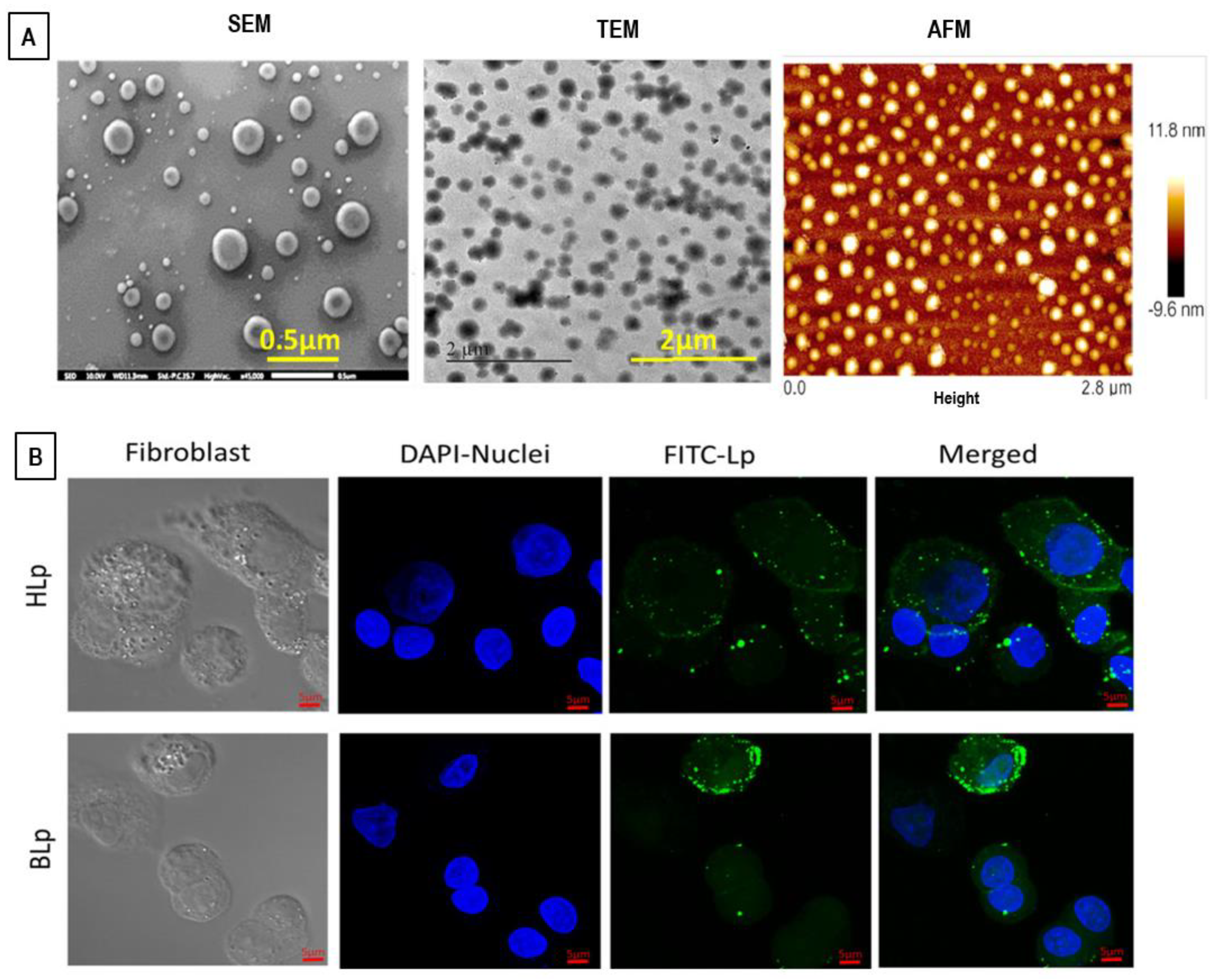 Pharmaceutics 14 00543 g018