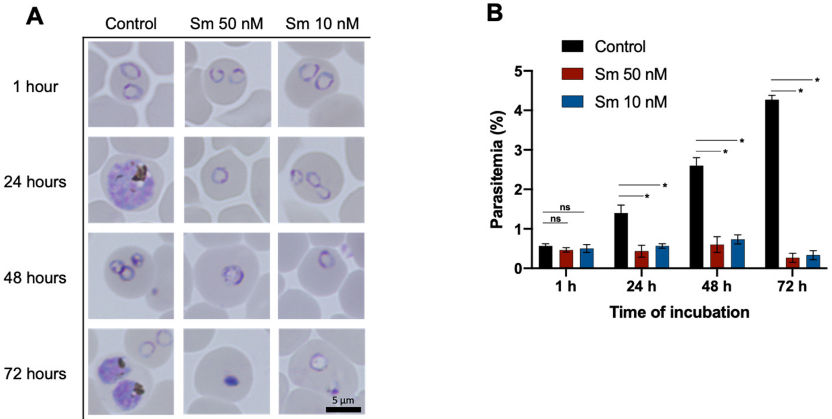Pharmaceutics 14 00544 g002