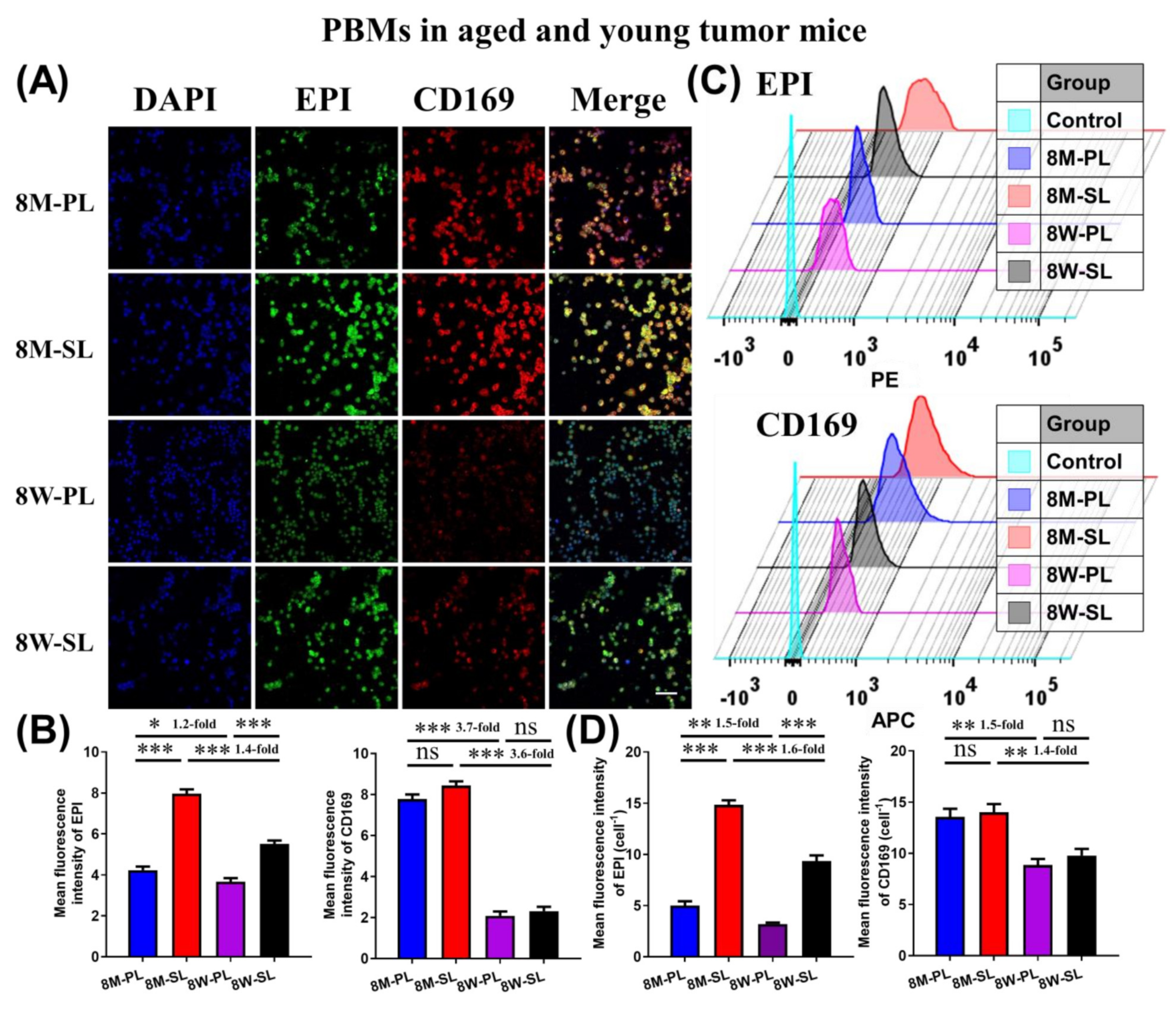 Pharmaceutics 14 00545 g004
