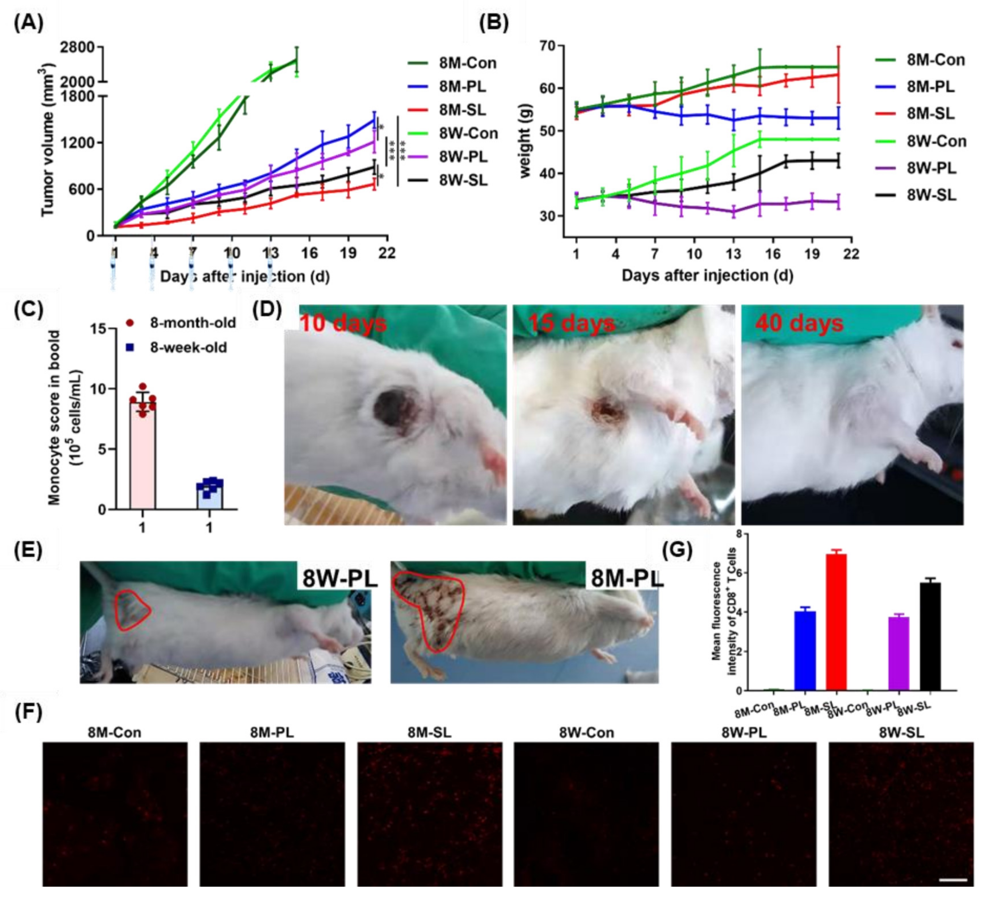Pharmaceutics 14 00545 g006