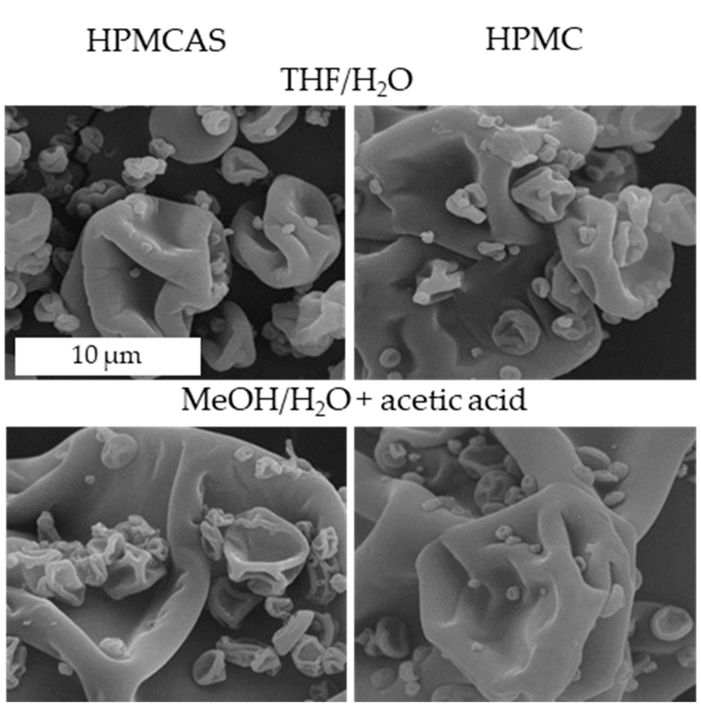 Pharmaceutics 14 00555 g004