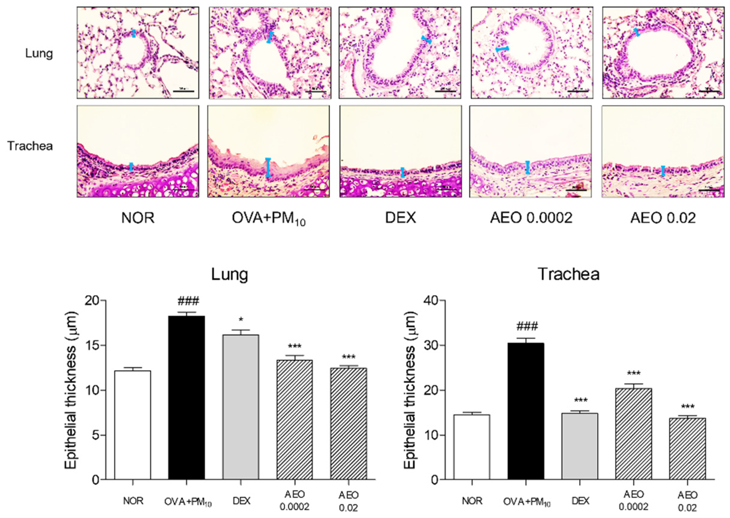 Pharmaceutics 14 00558 g002