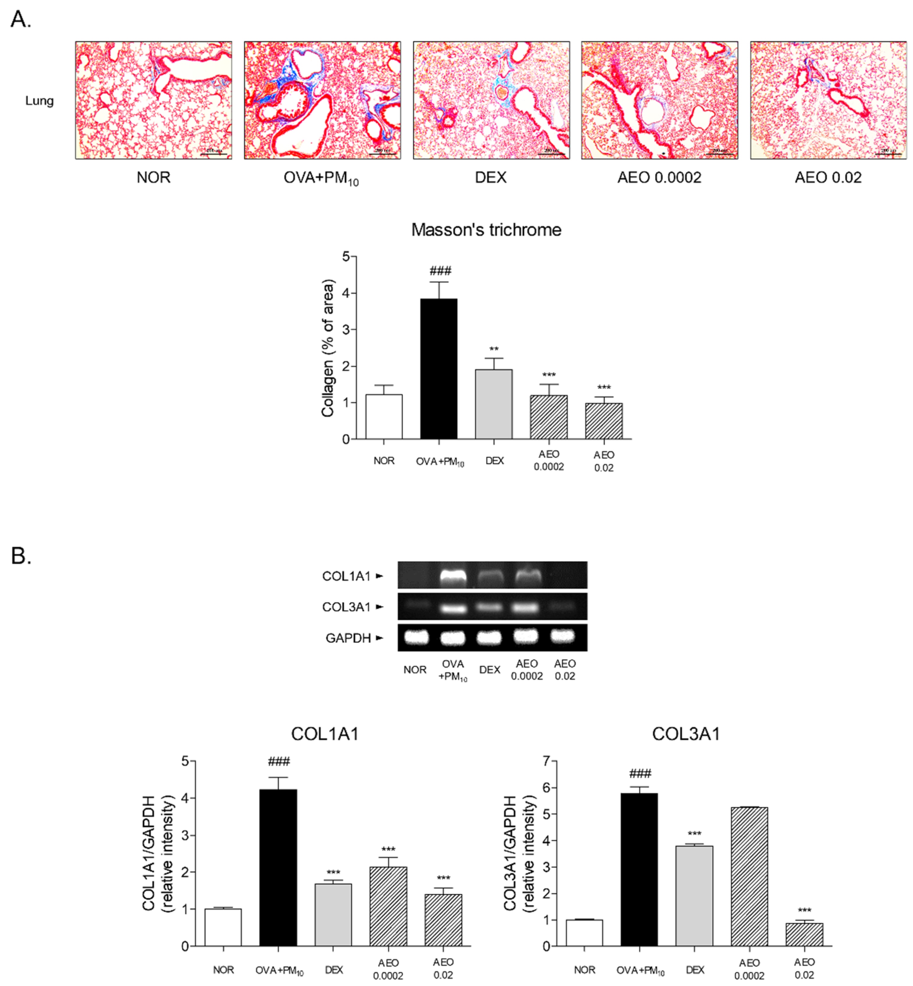 Pharmaceutics 14 00558 g004