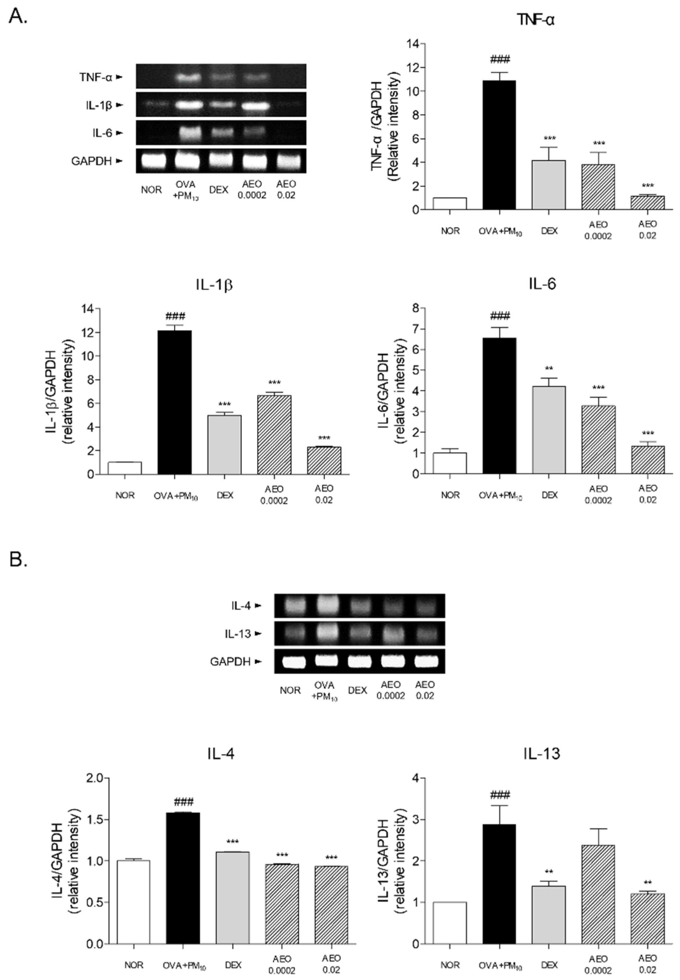 Pharmaceutics 14 00558 g006