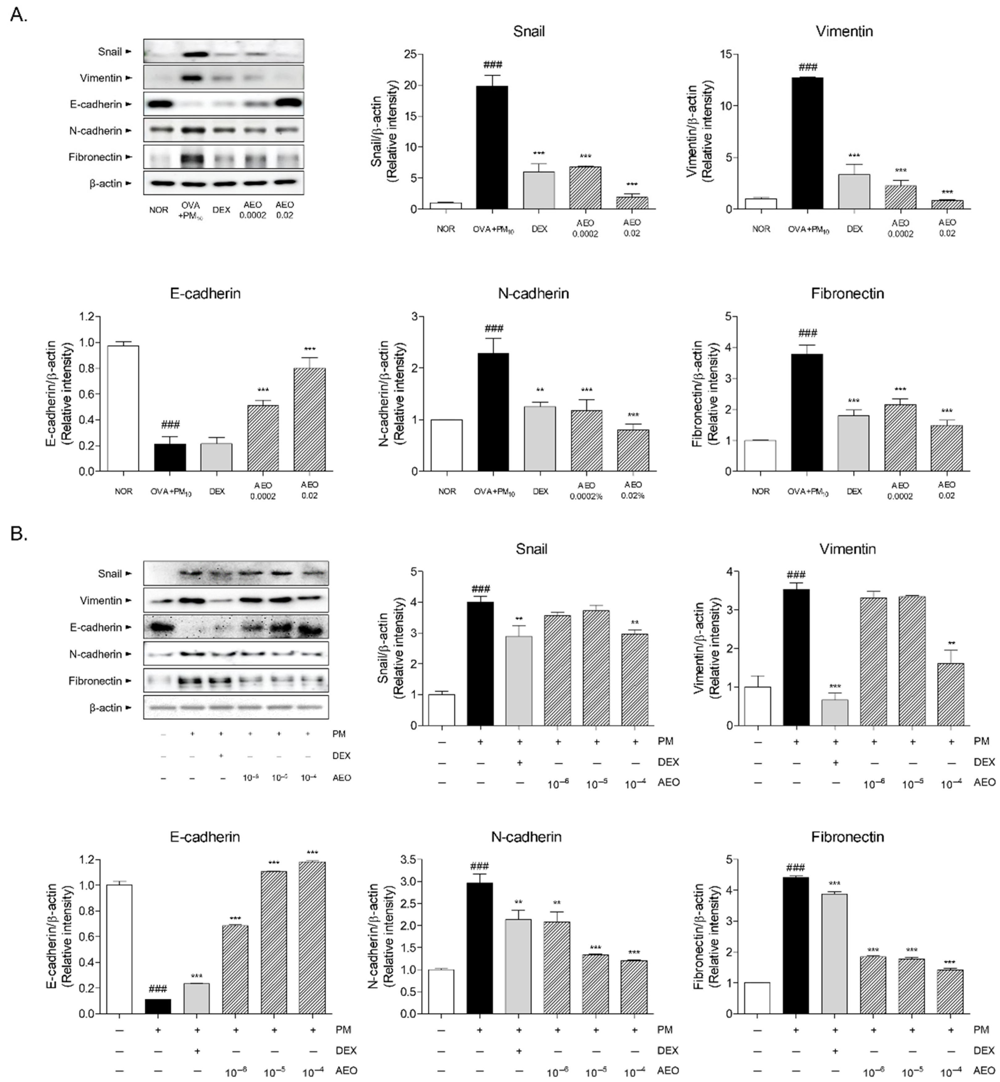 Pharmaceutics 14 00558 g009
