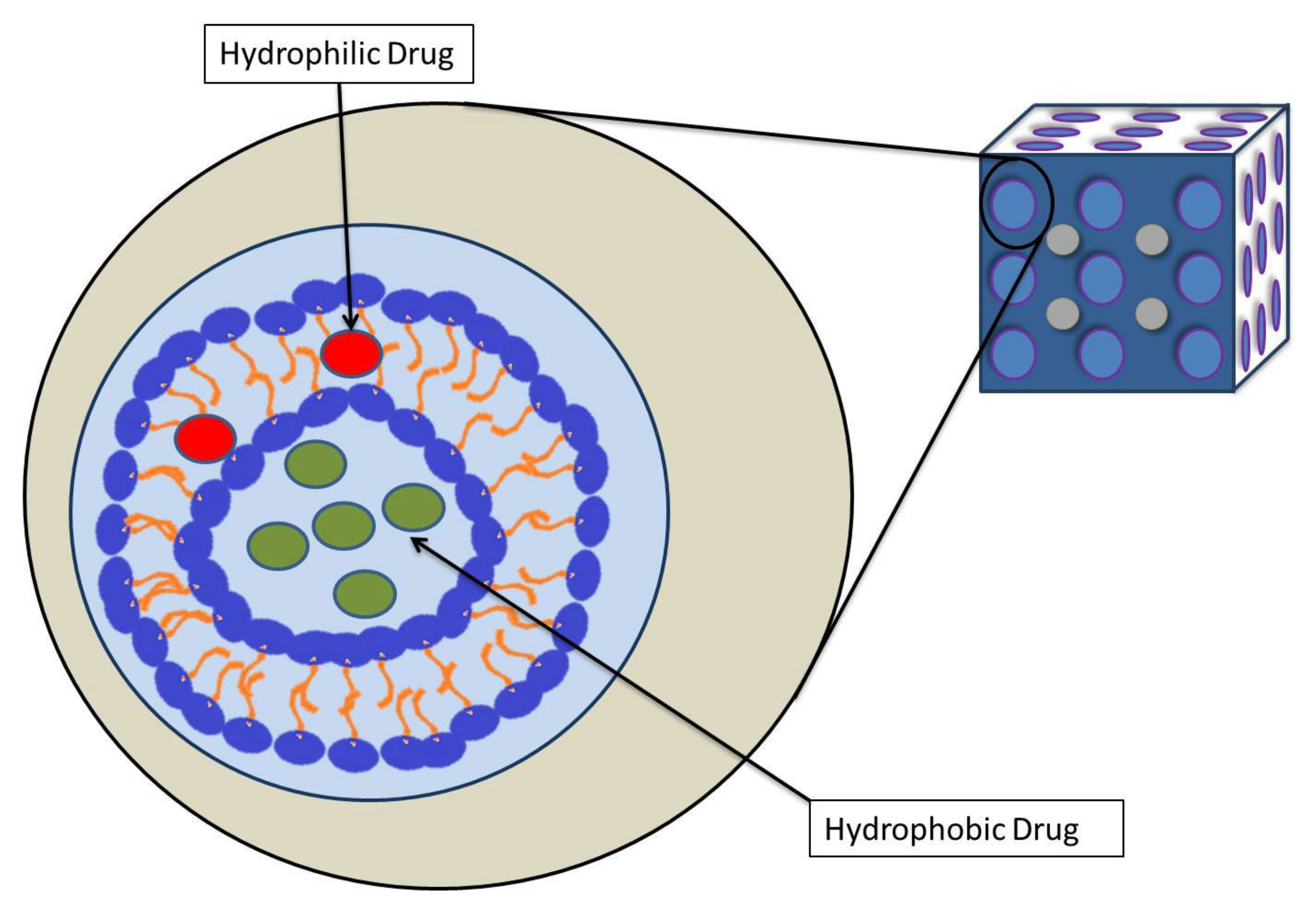 Pharmaceutics 14 00600 g002