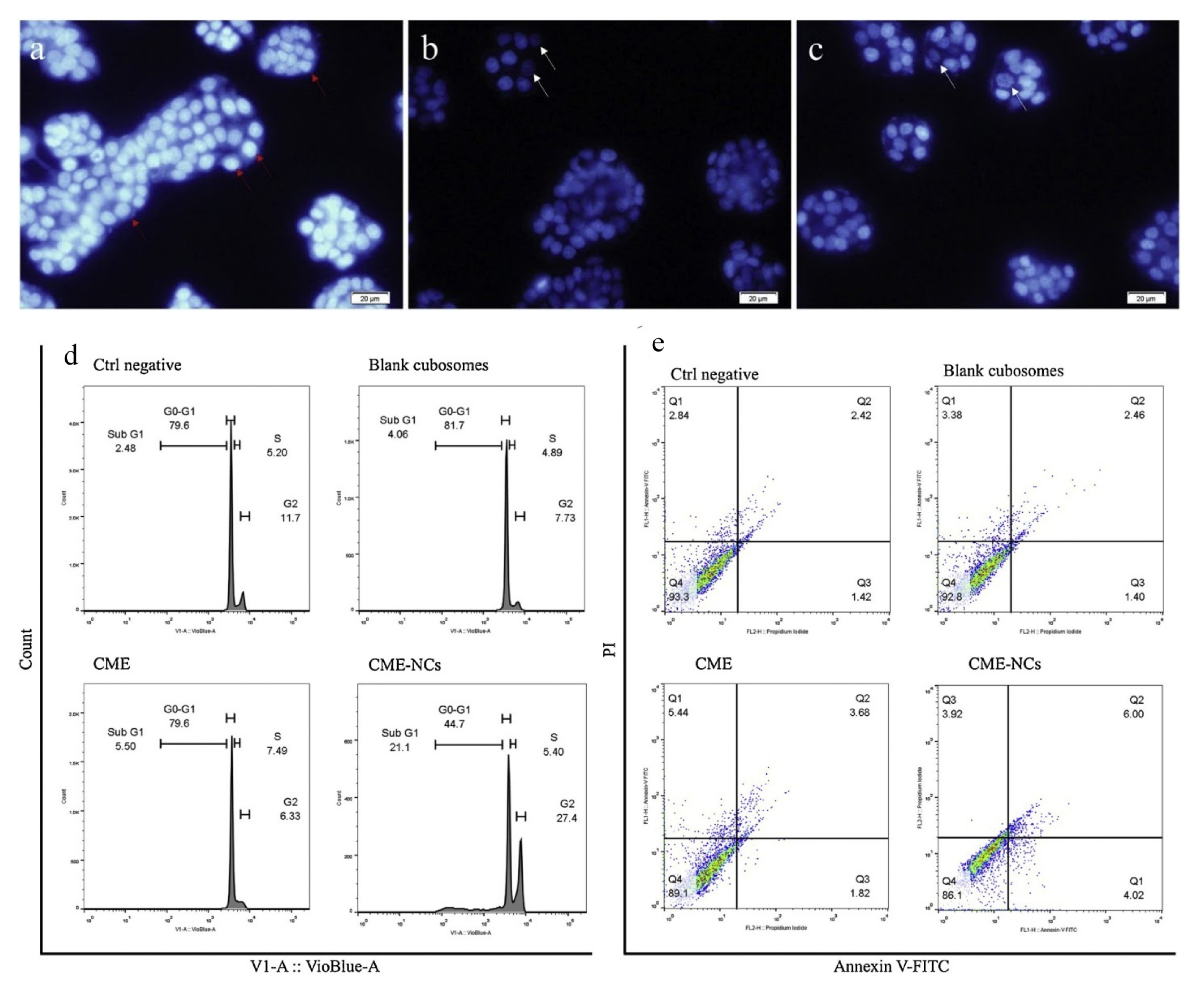 Pharmaceutics 14 00600 g005