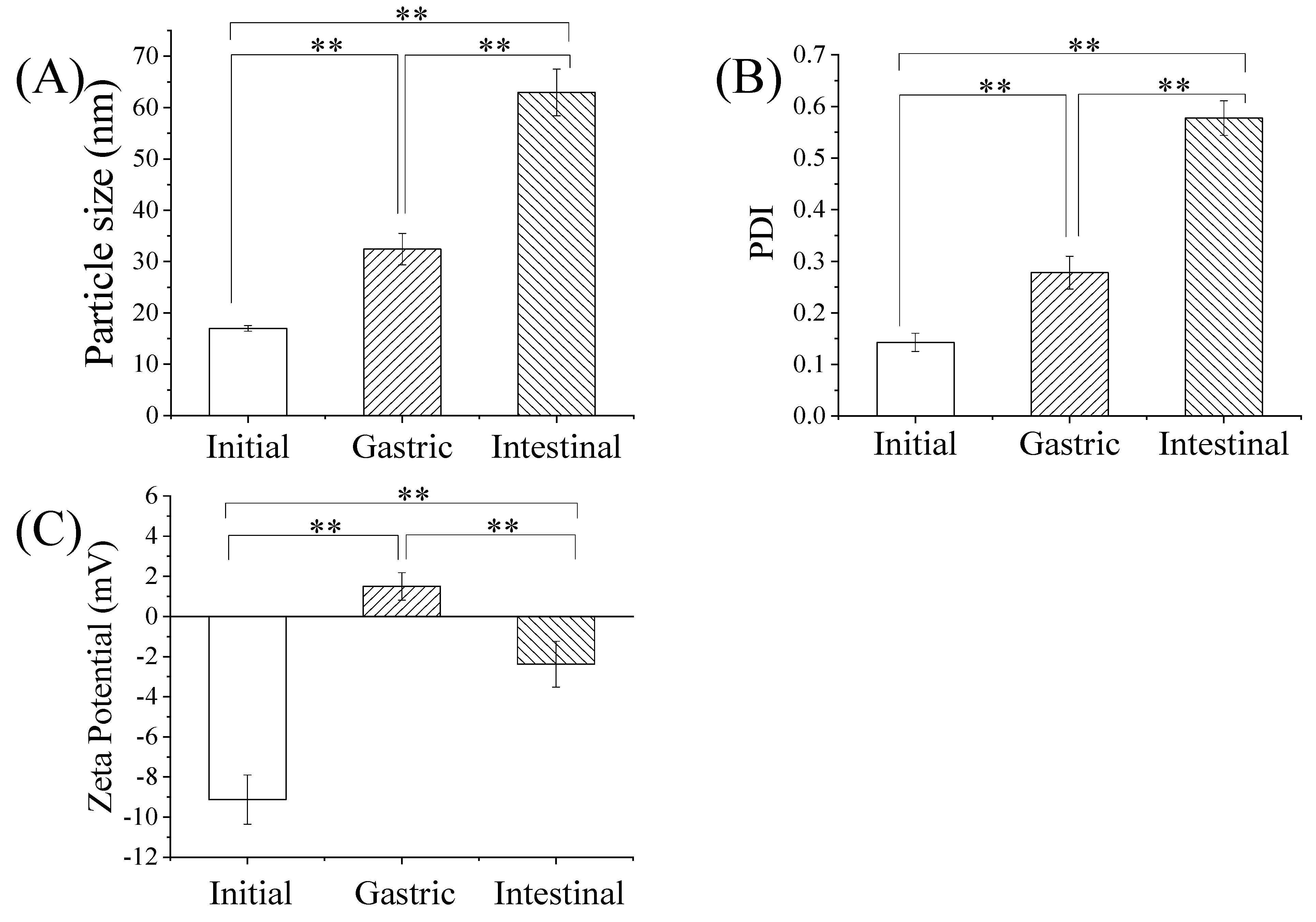 Pharmaceutics 14 00617 g003