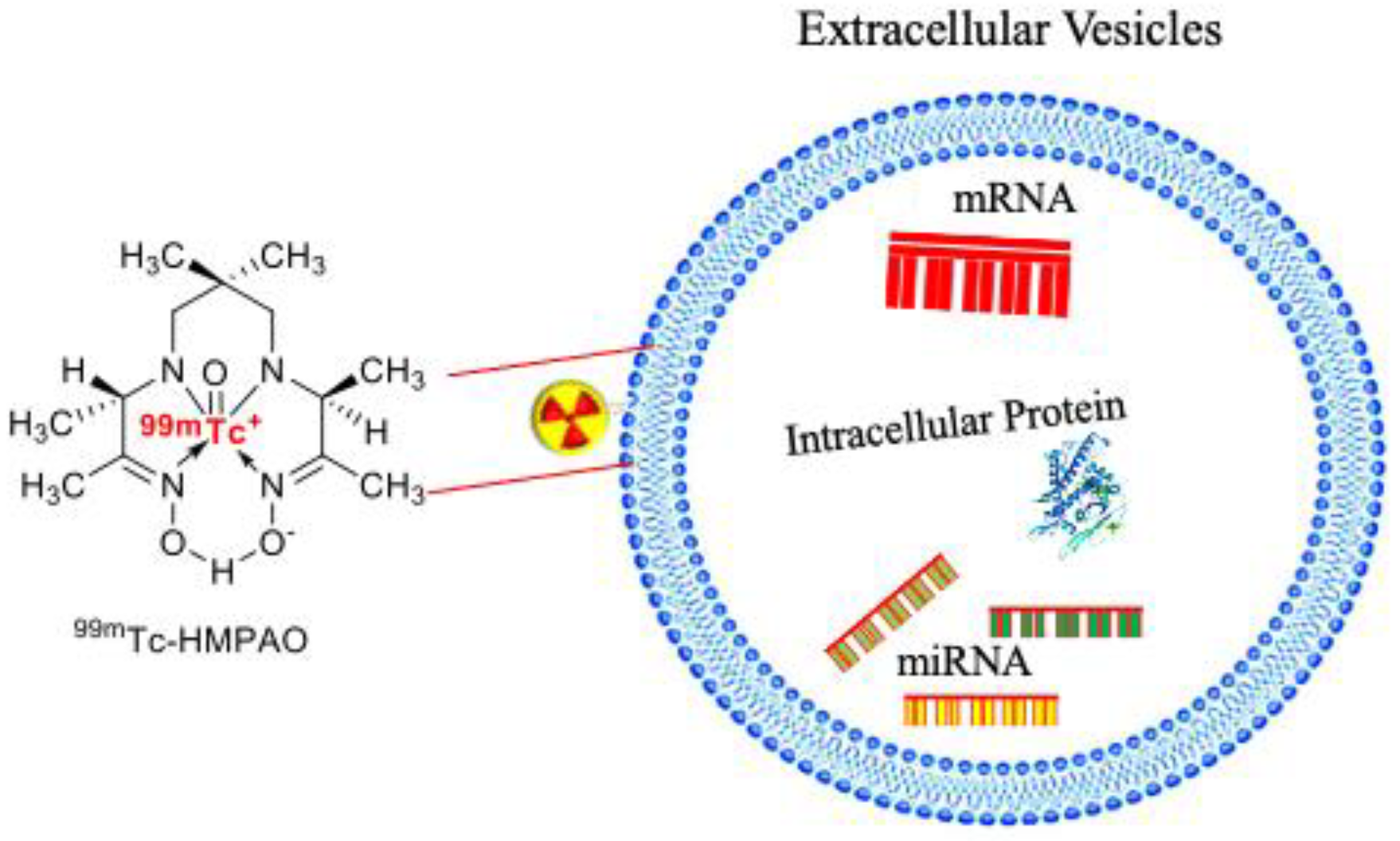 Pharmaceutics 14 00653 g003