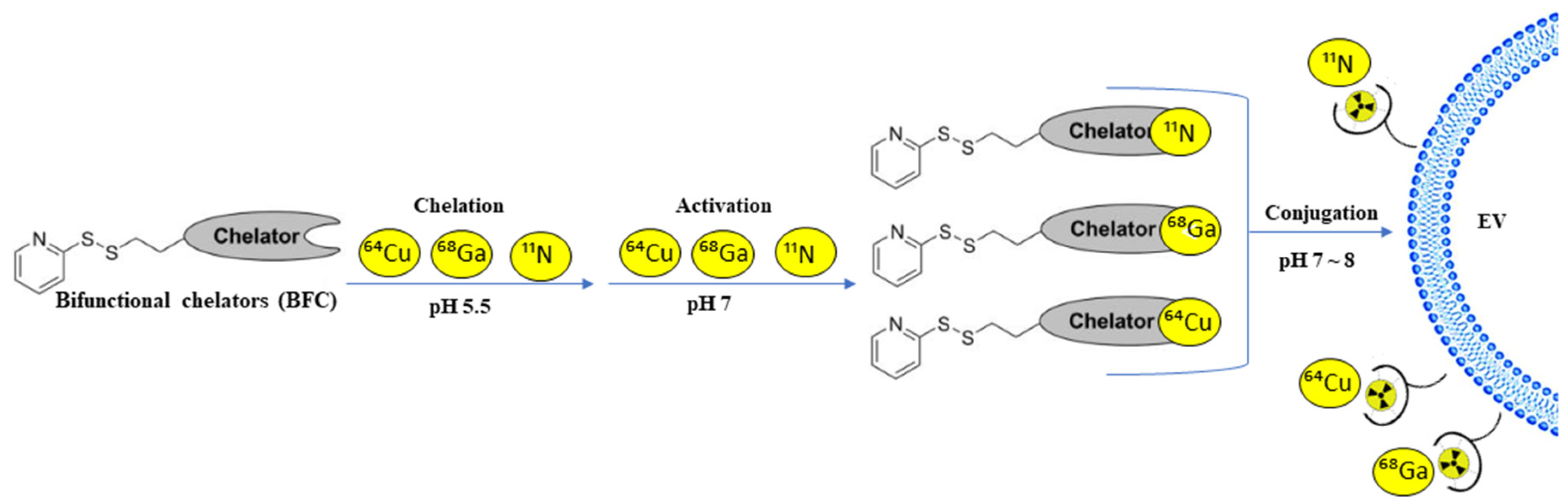 Pharmaceutics 14 00653 g005