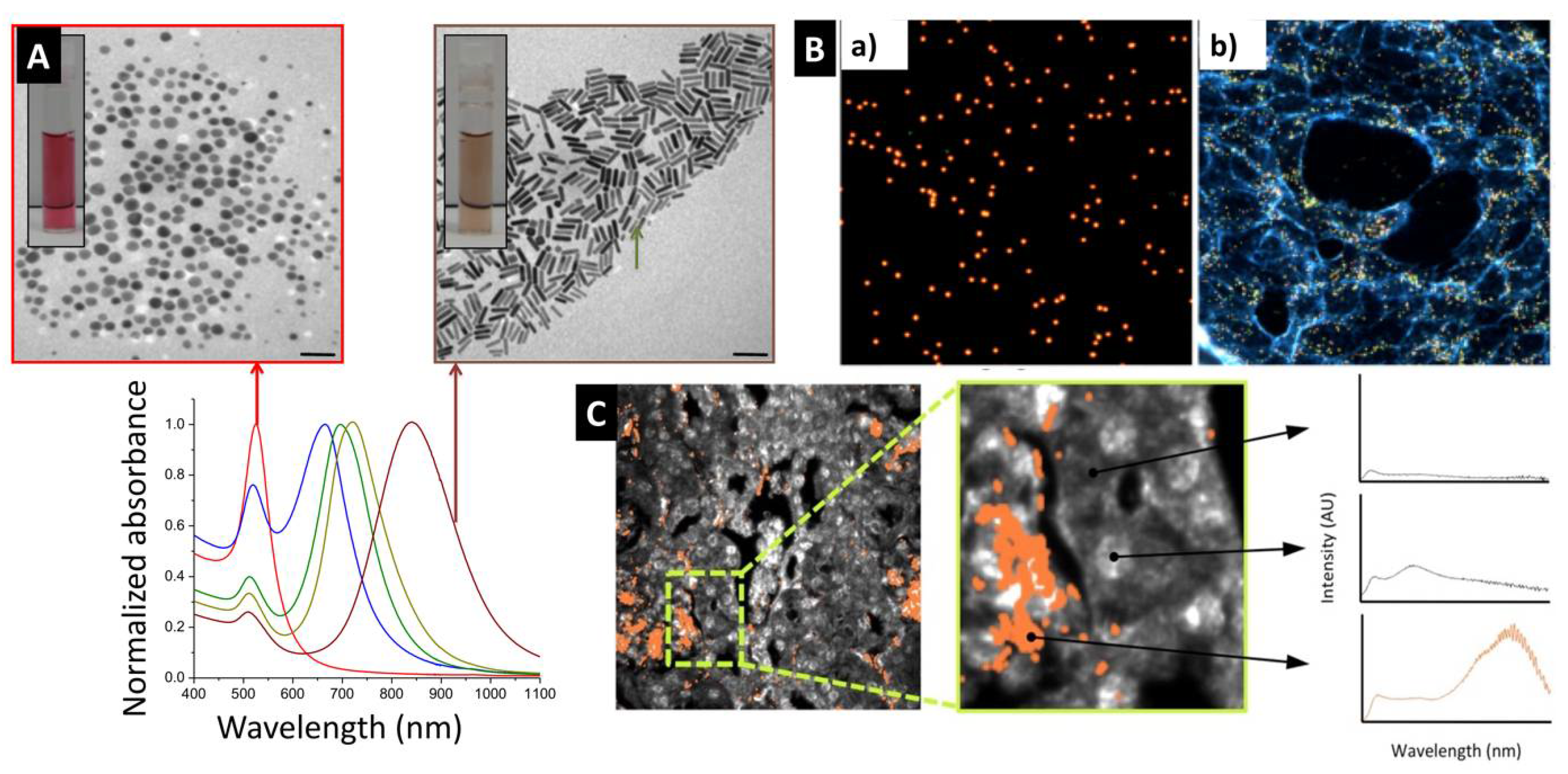 Pharmaceutics 14 00660 g002