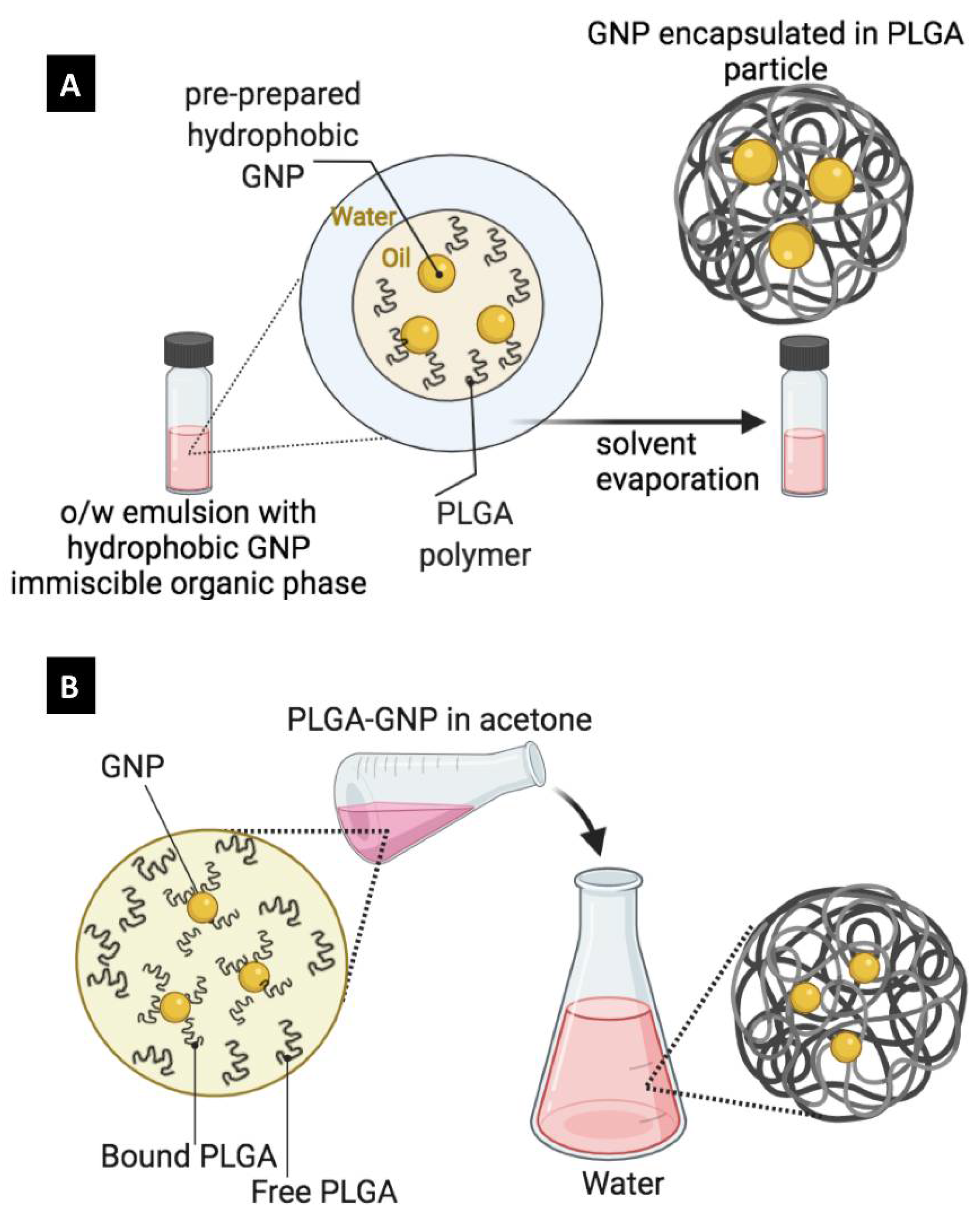 Pharmaceutics 14 00660 g005
