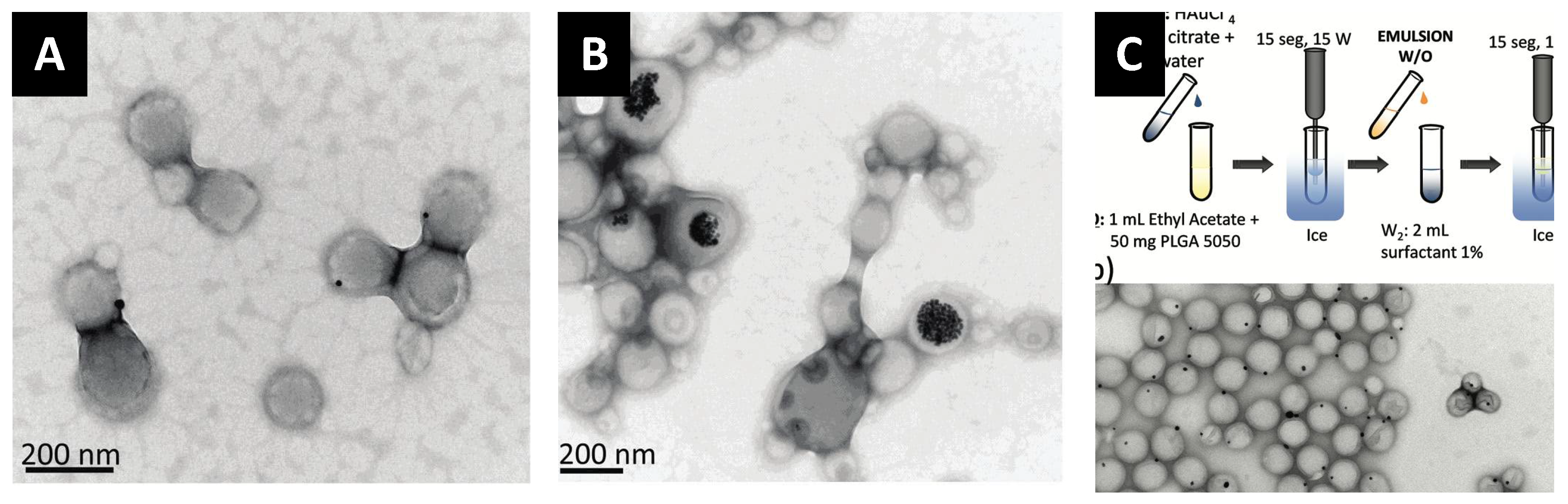 Pharmaceutics 14 00660 g007