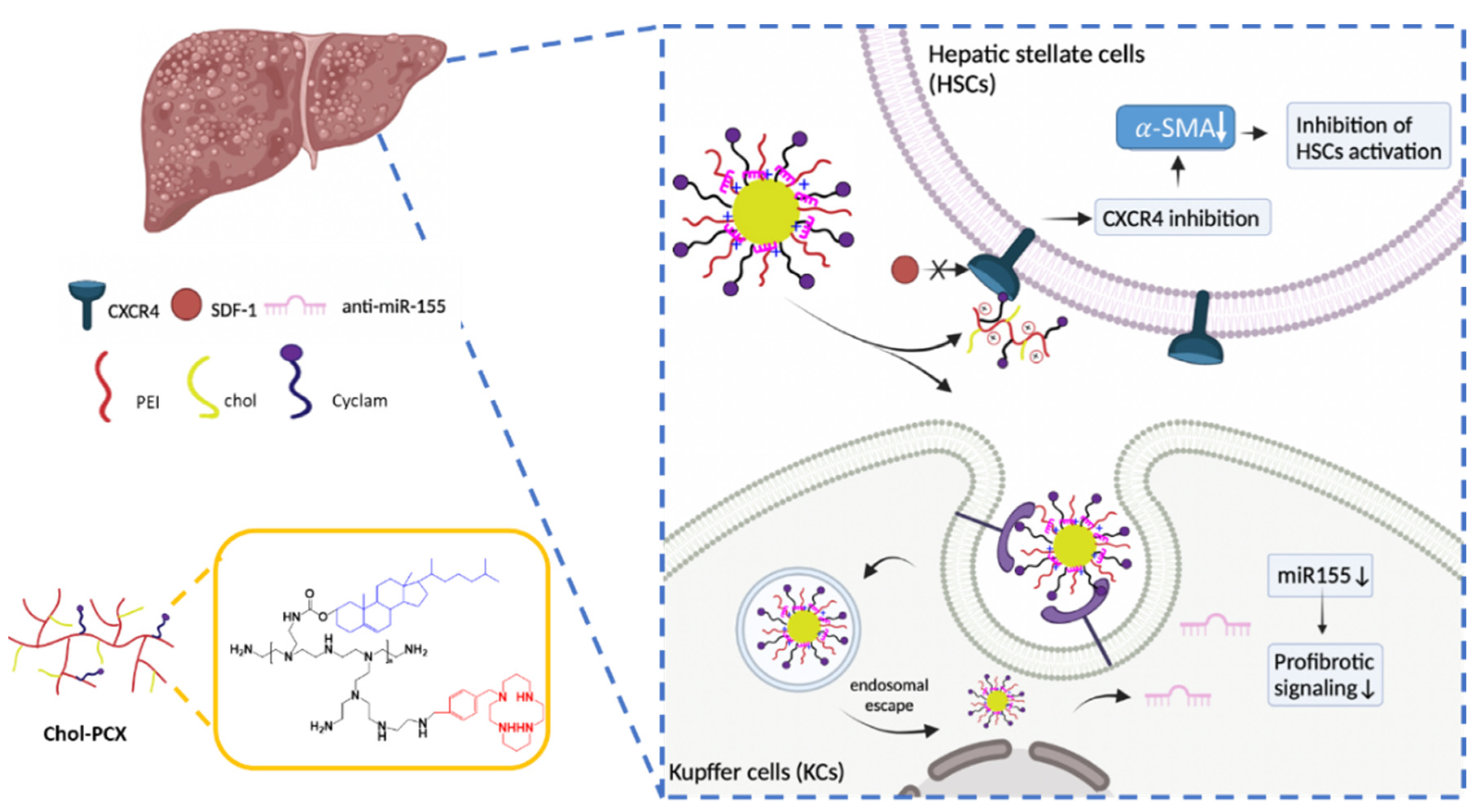 Pharmaceutics 14 00669 g001
