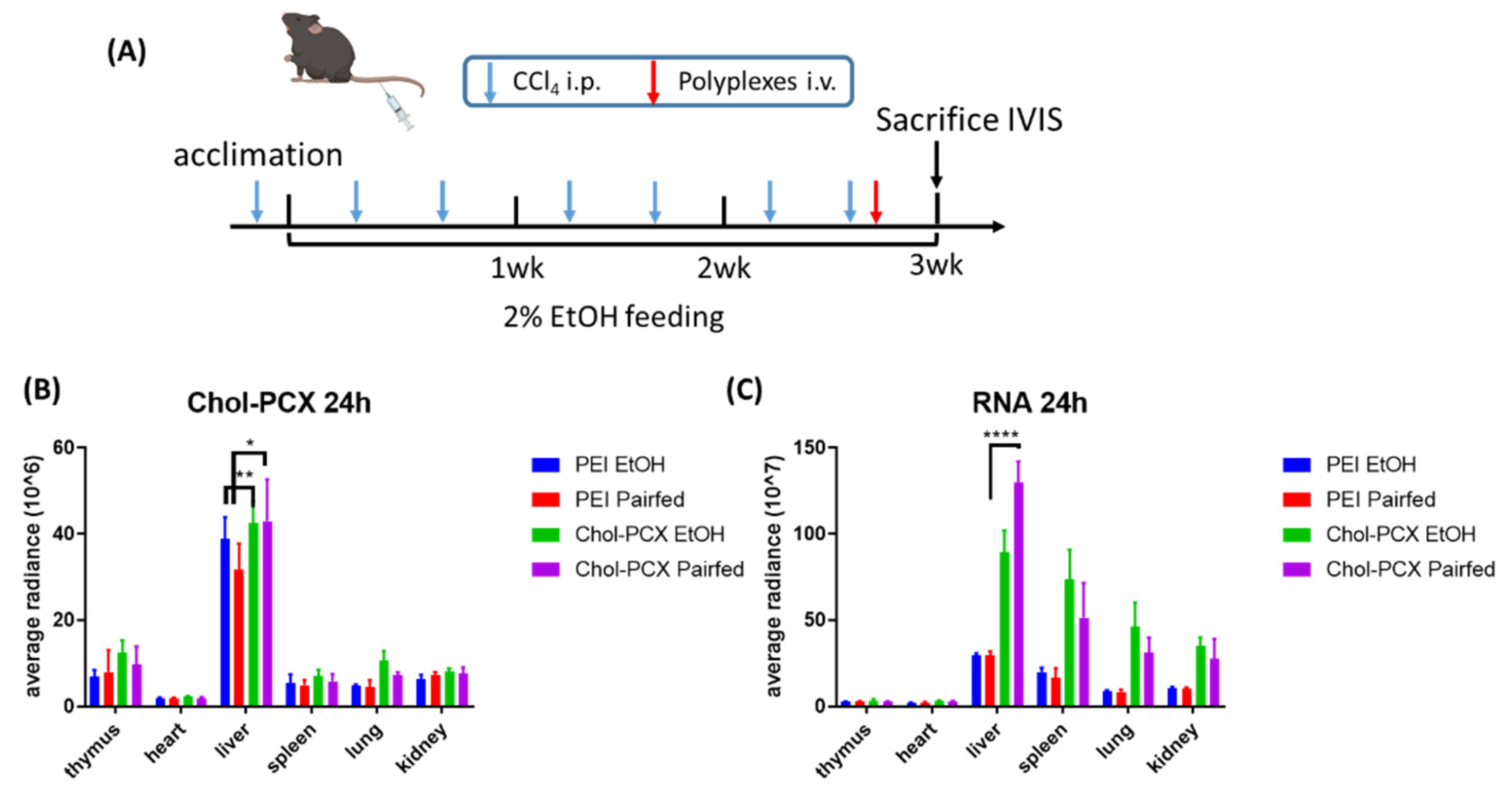 Pharmaceutics 14 00669 g007