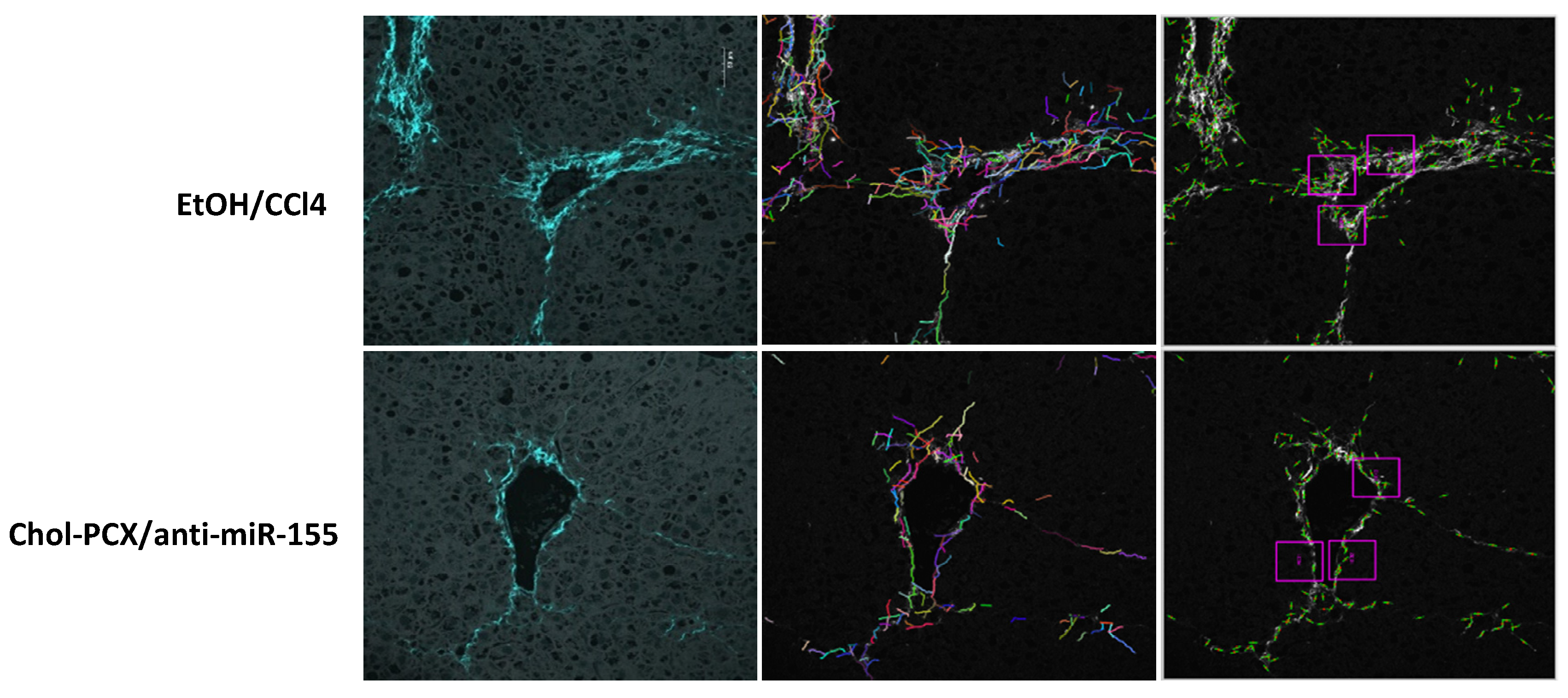 Pharmaceutics 14 00669 g011