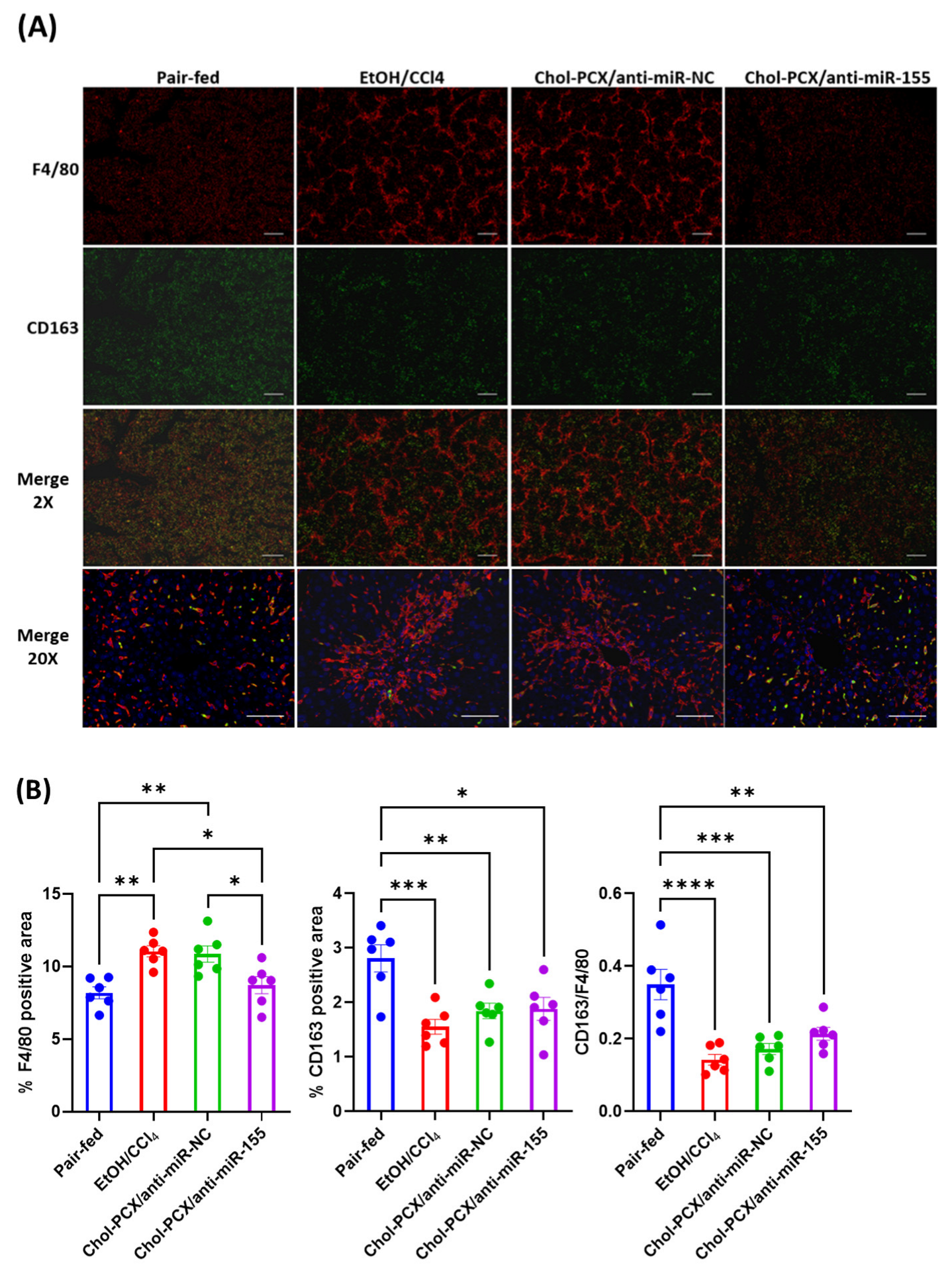 Pharmaceutics 14 00669 g013