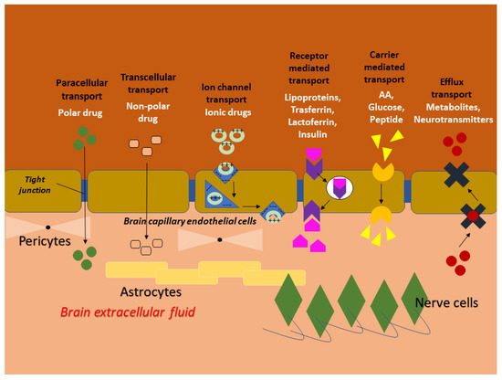 Pharmaceutics | Free Full-Text | Drug Nanocrystals: Focus on Brain 