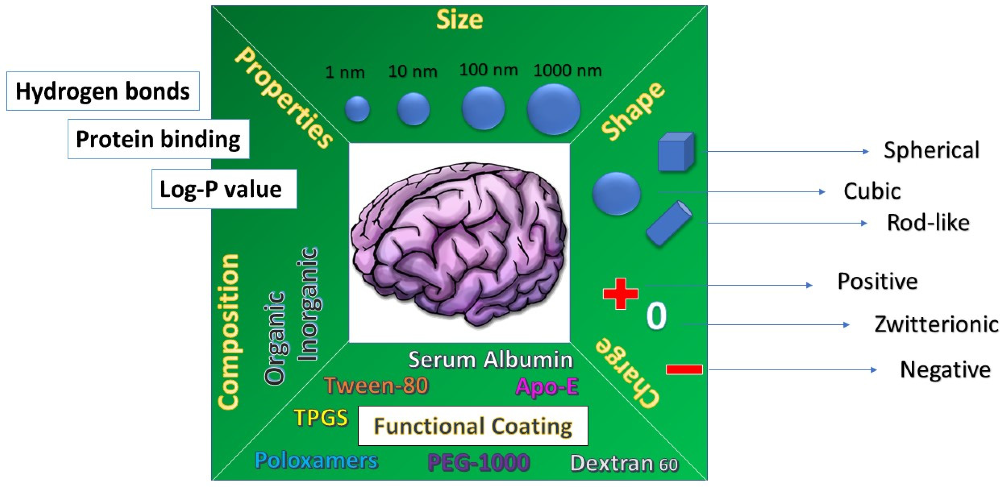 Pharmaceutics | Free Full-Text | Drug Nanocrystals: Focus on Brain 