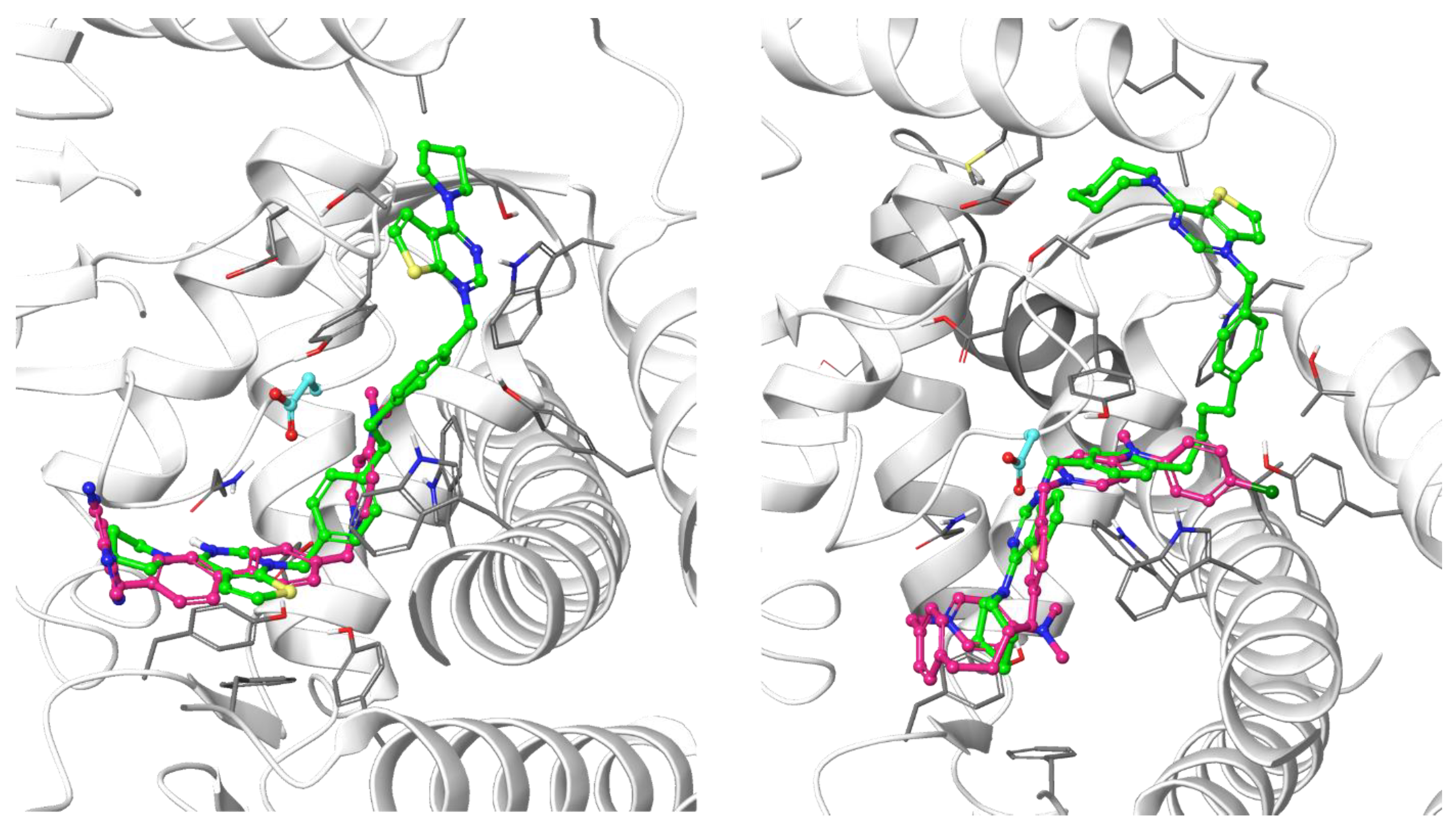 Pharmaceutics 14 00715 g003