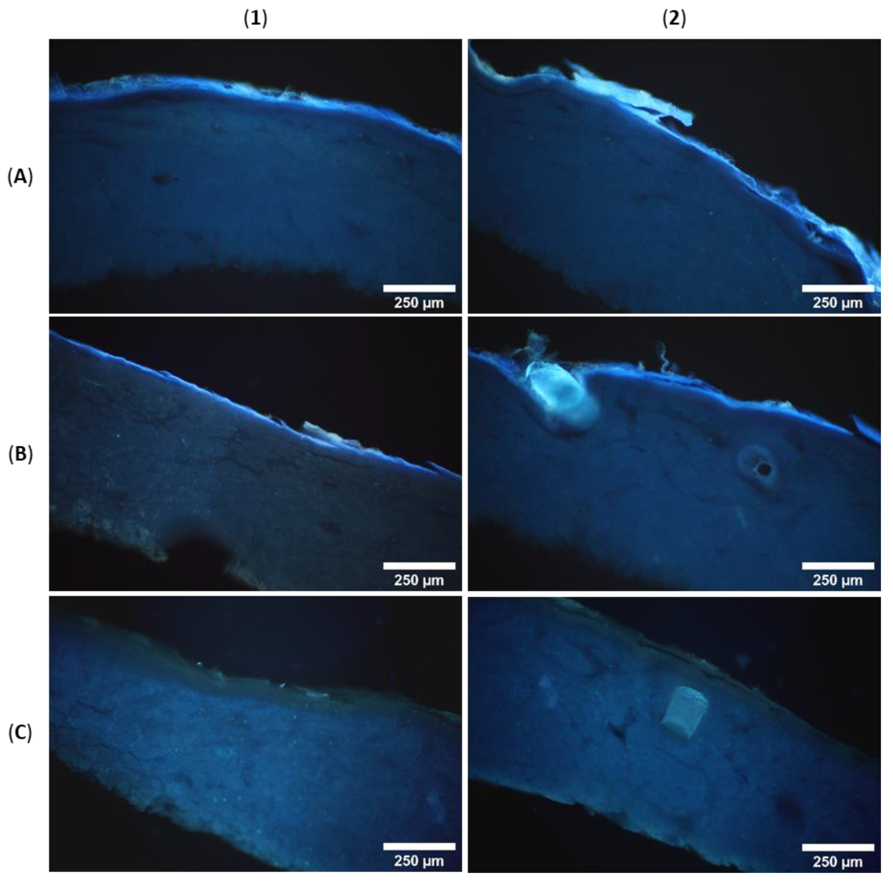 Pharmaceutics 14 00742 g005