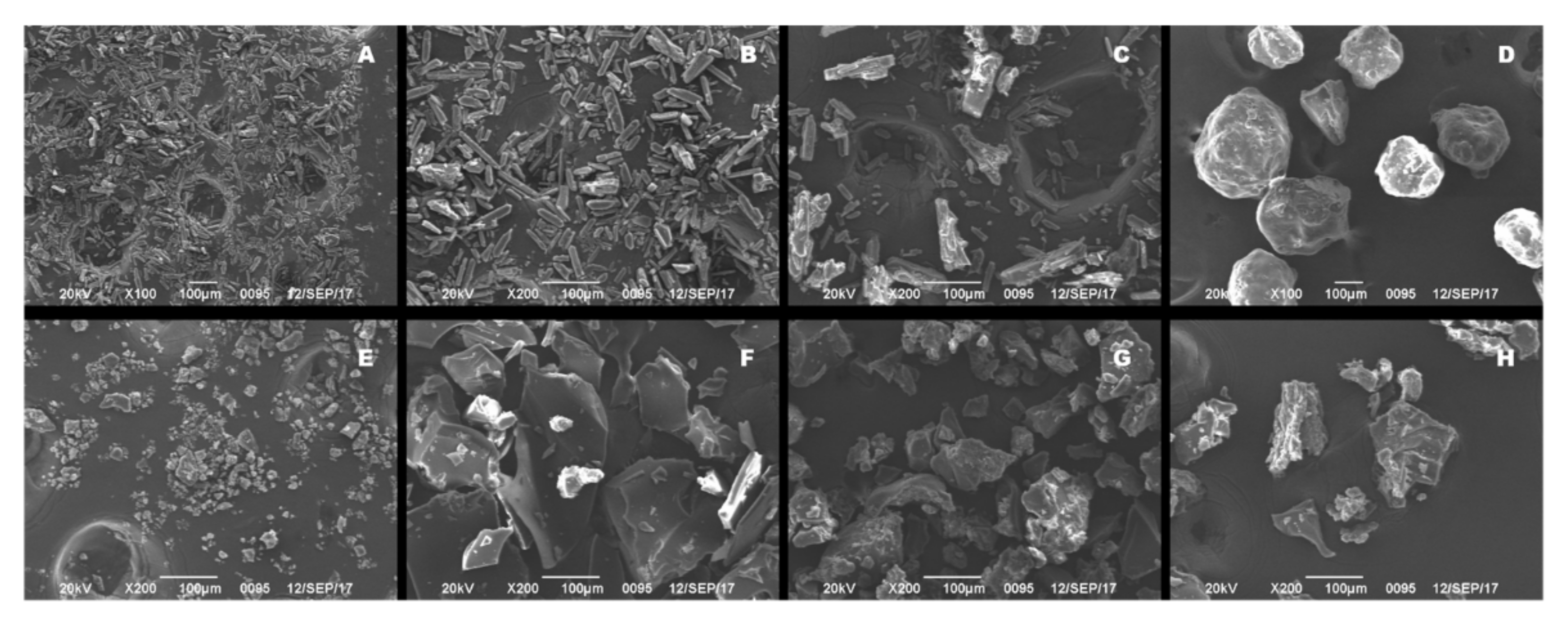 Pharmaceutics 14 00765 g002