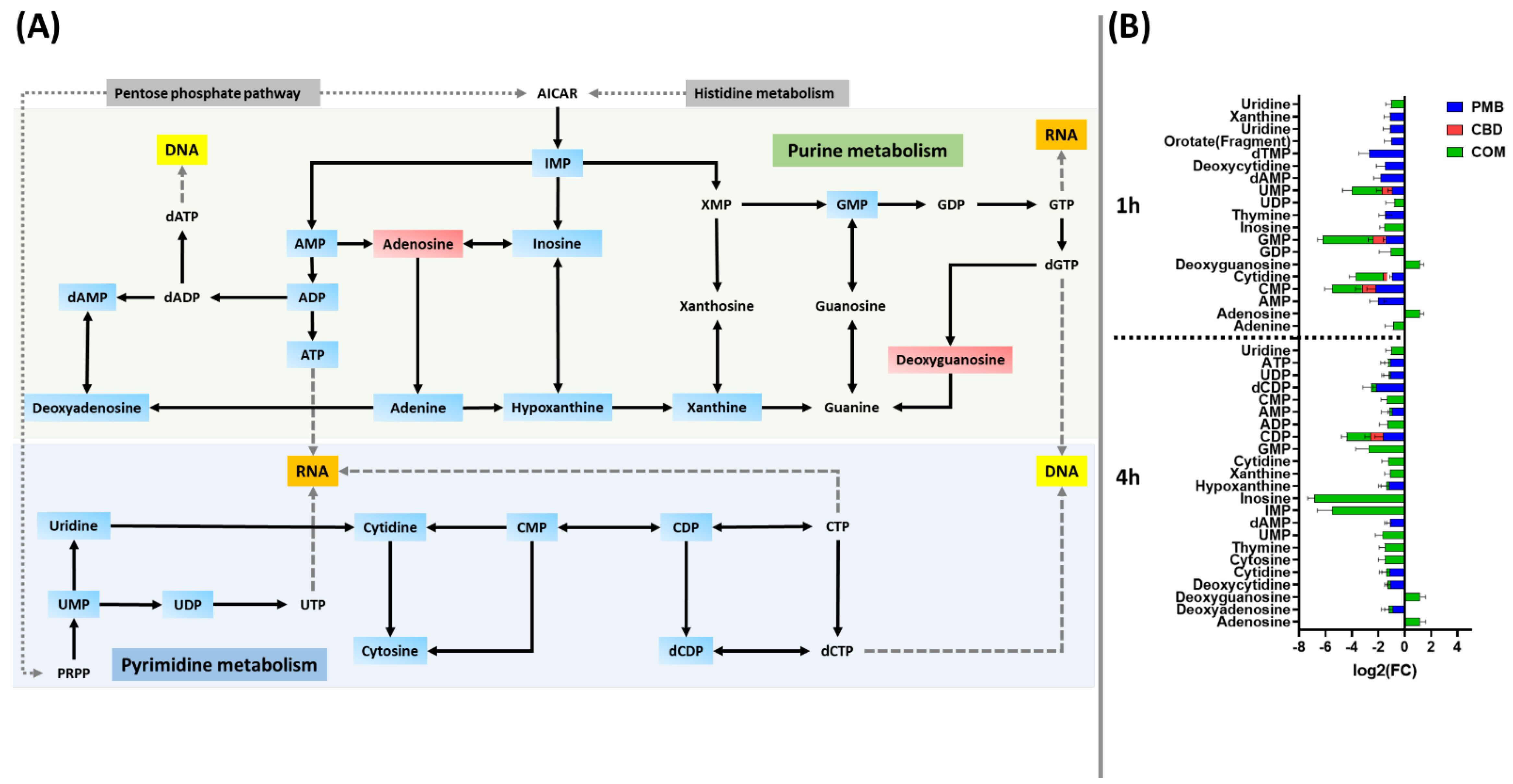 Pharmaceutics 14 00786 g004