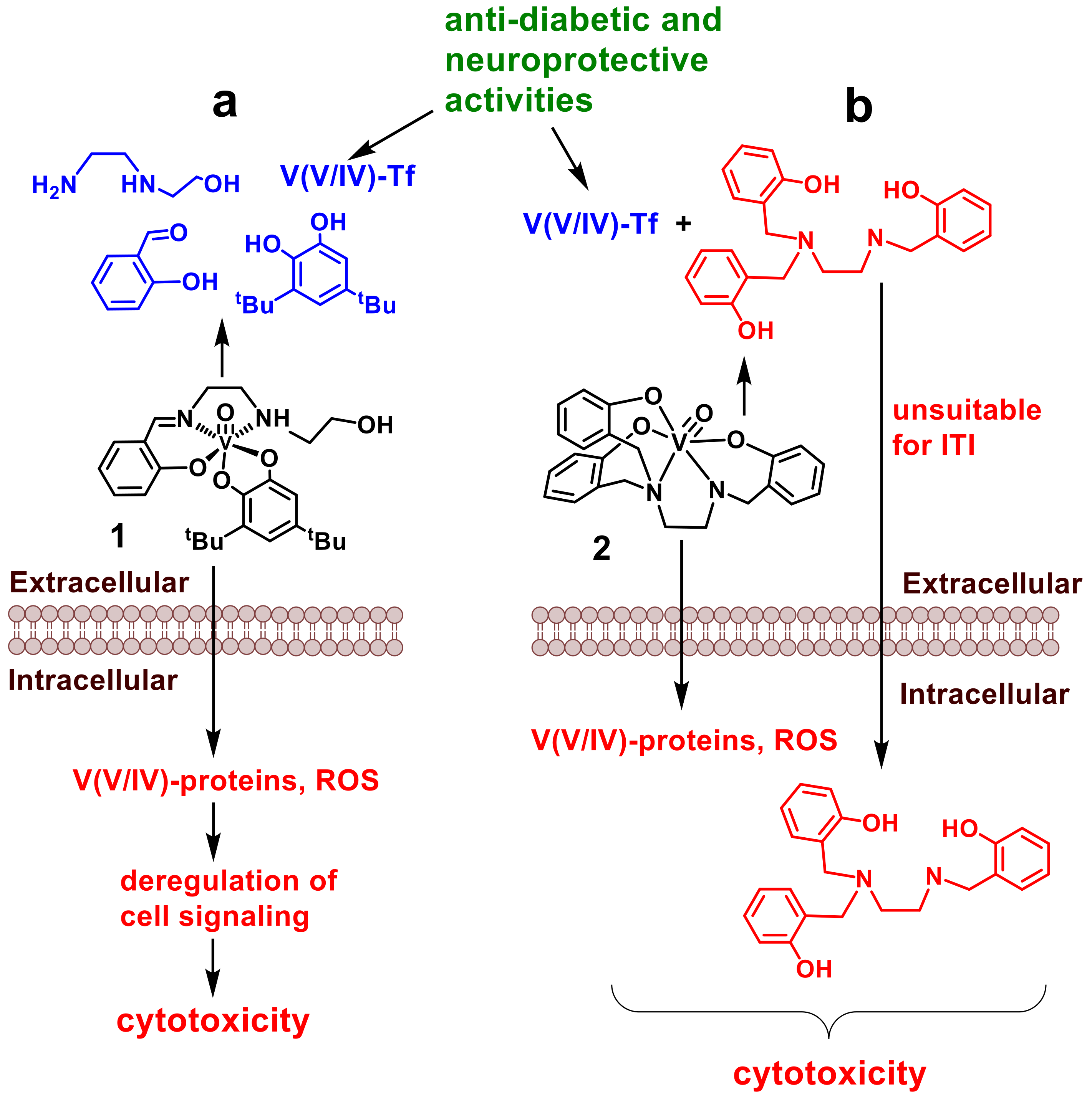 Pharmaceutics 14 00790 g002