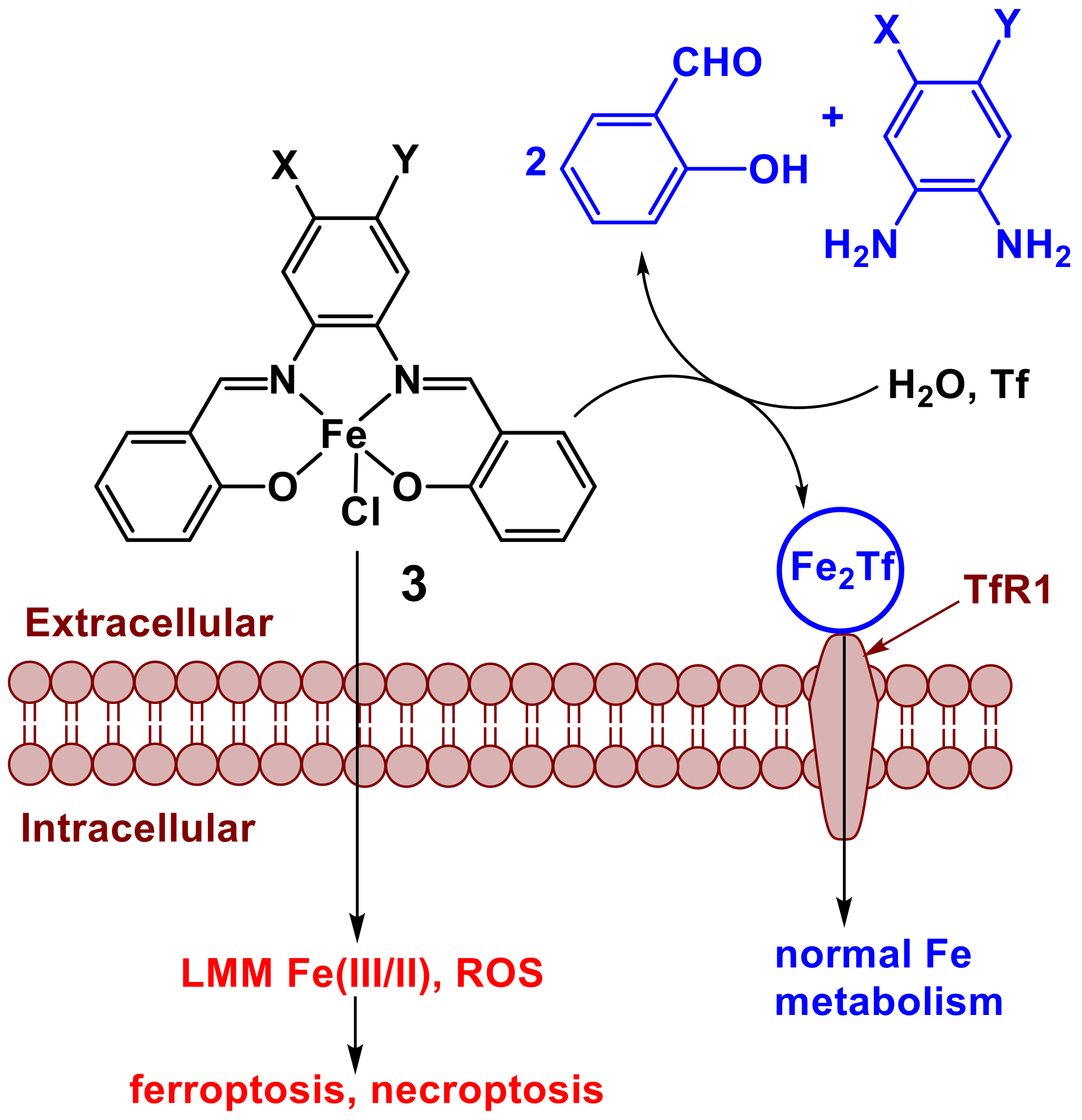 Pharmaceutics 14 00790 g003