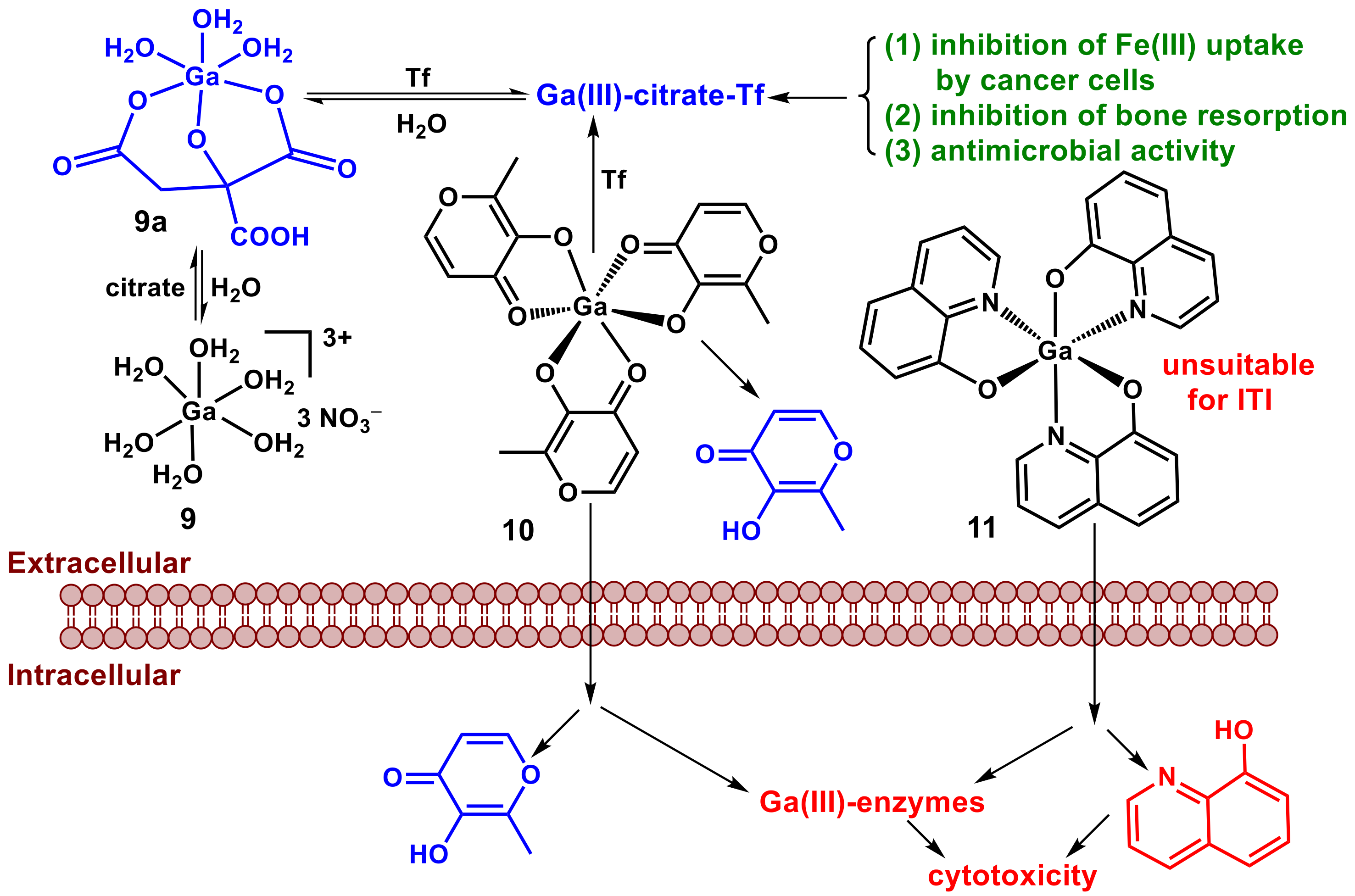 Pharmaceutics 14 00790 g005