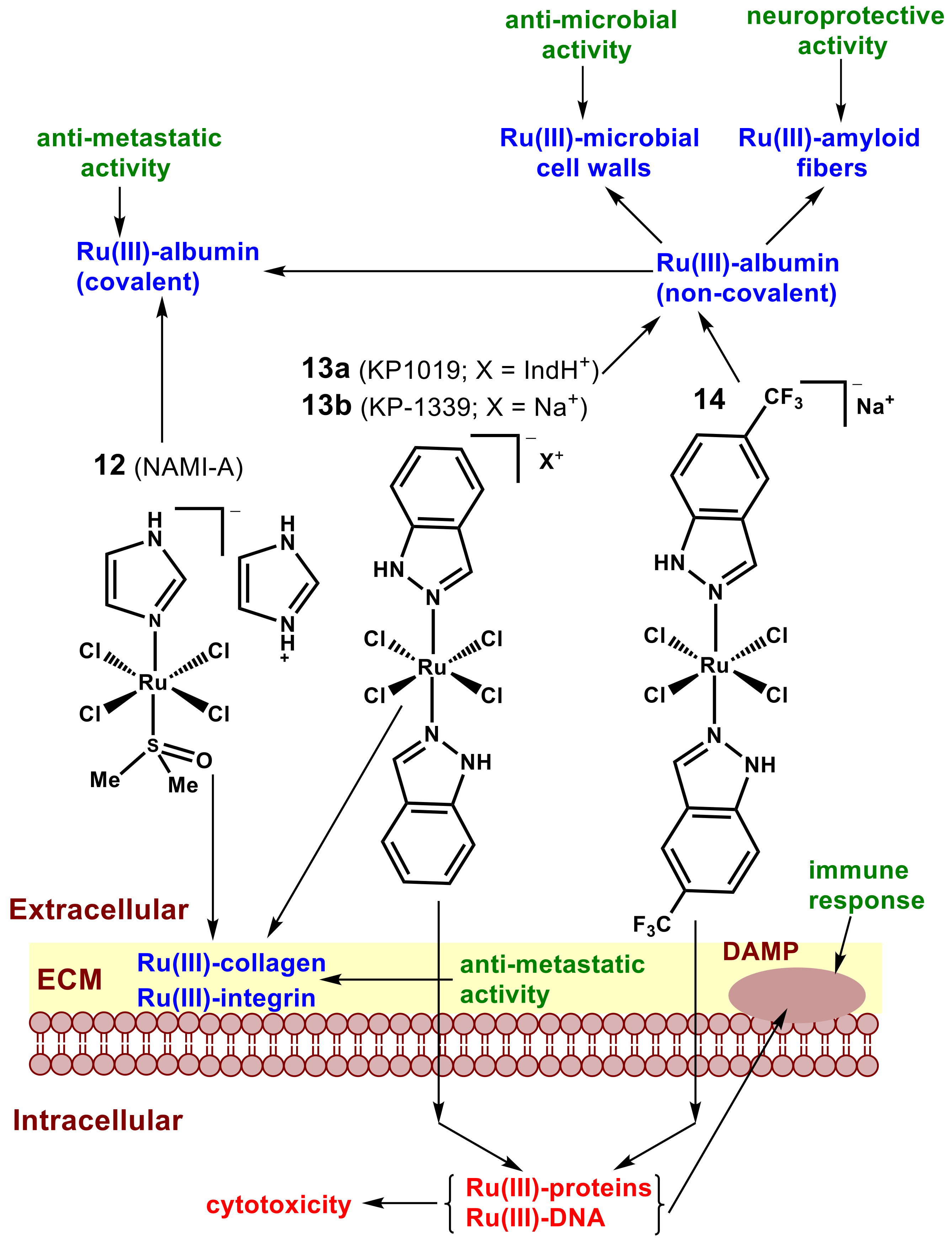 Pharmaceutics 14 00790 g006